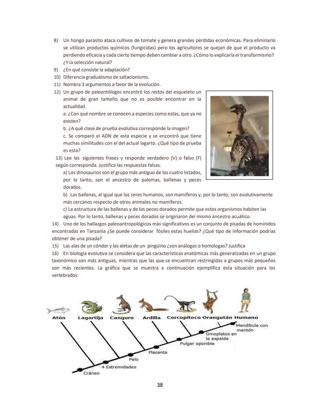 # BIOLOGÍA
## 2º AÑO
Instituto Evangélico Los Pinares
Profesora Sara Ruth Benitez
2025 Resumen de seres vivos
Los seres vivos son sistema