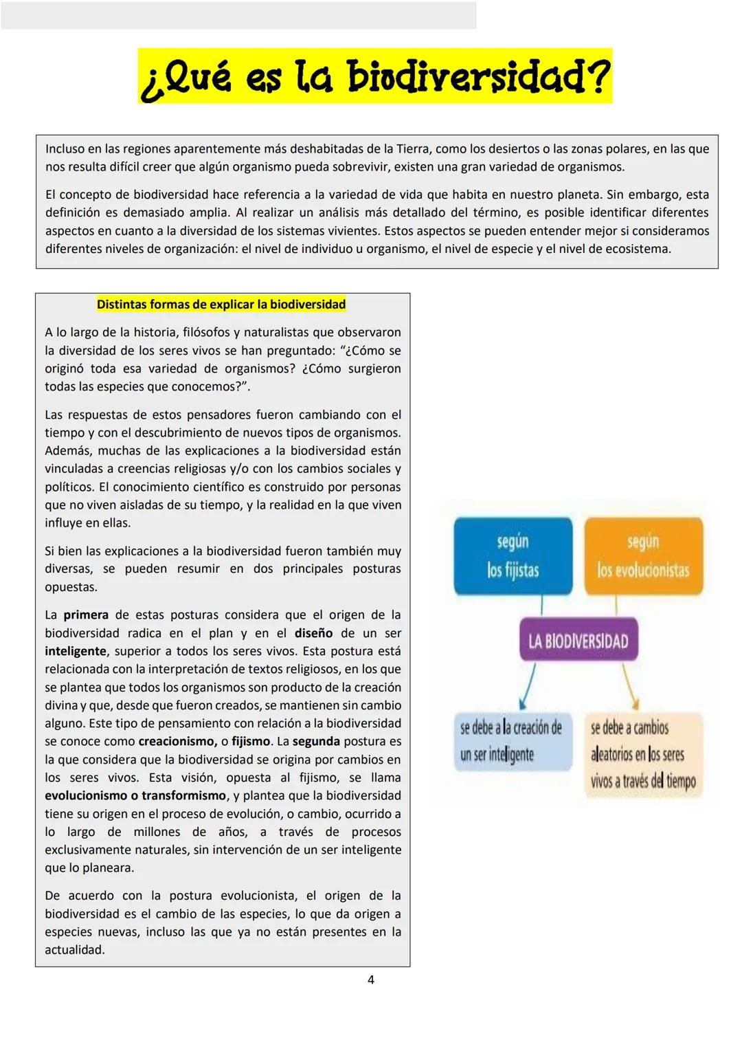 # BIOLOGÍA
## 2º AÑO
Instituto Evangélico Los Pinares
Profesora Sara Ruth Benitez
2025 Resumen de seres vivos
Los seres vivos son sistema