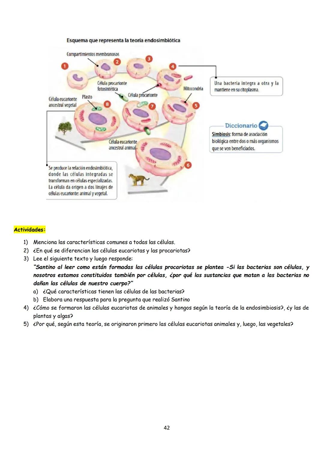 # BIOLOGÍA
## 2º AÑO
Instituto Evangélico Los Pinares
Profesora Sara Ruth Benitez
2025 Resumen de seres vivos
Los seres vivos son sistema