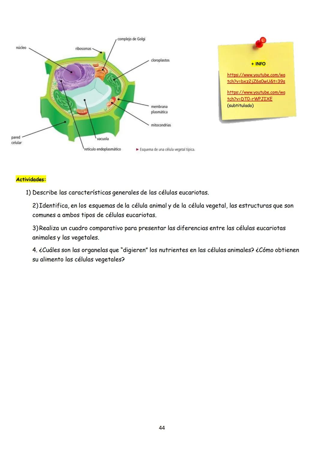 # BIOLOGÍA
## 2º AÑO
Instituto Evangélico Los Pinares
Profesora Sara Ruth Benitez
2025 Resumen de seres vivos
Los seres vivos son sistema
