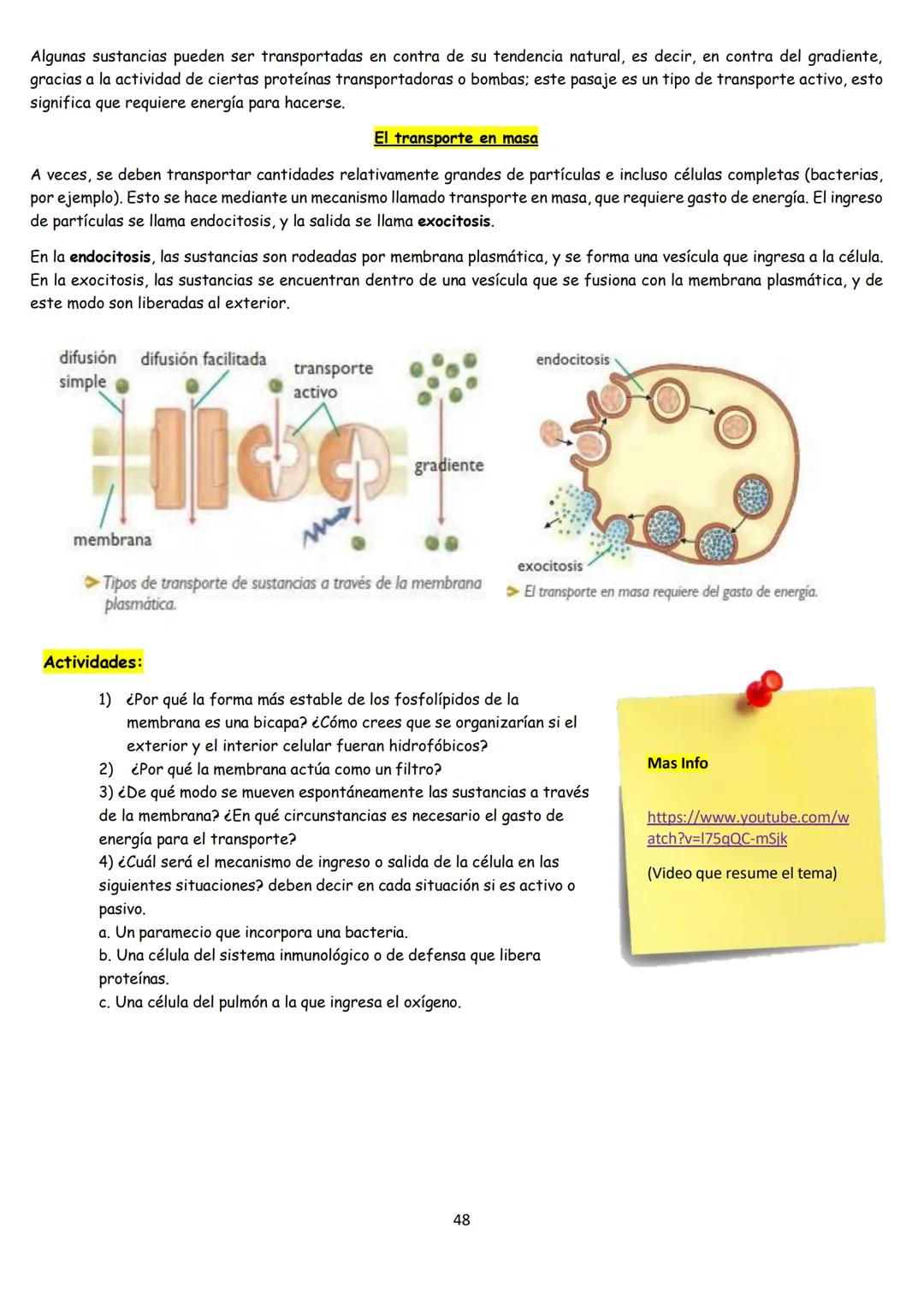 # BIOLOGÍA
## 2º AÑO
Instituto Evangélico Los Pinares
Profesora Sara Ruth Benitez
2025 Resumen de seres vivos
Los seres vivos son sistema
