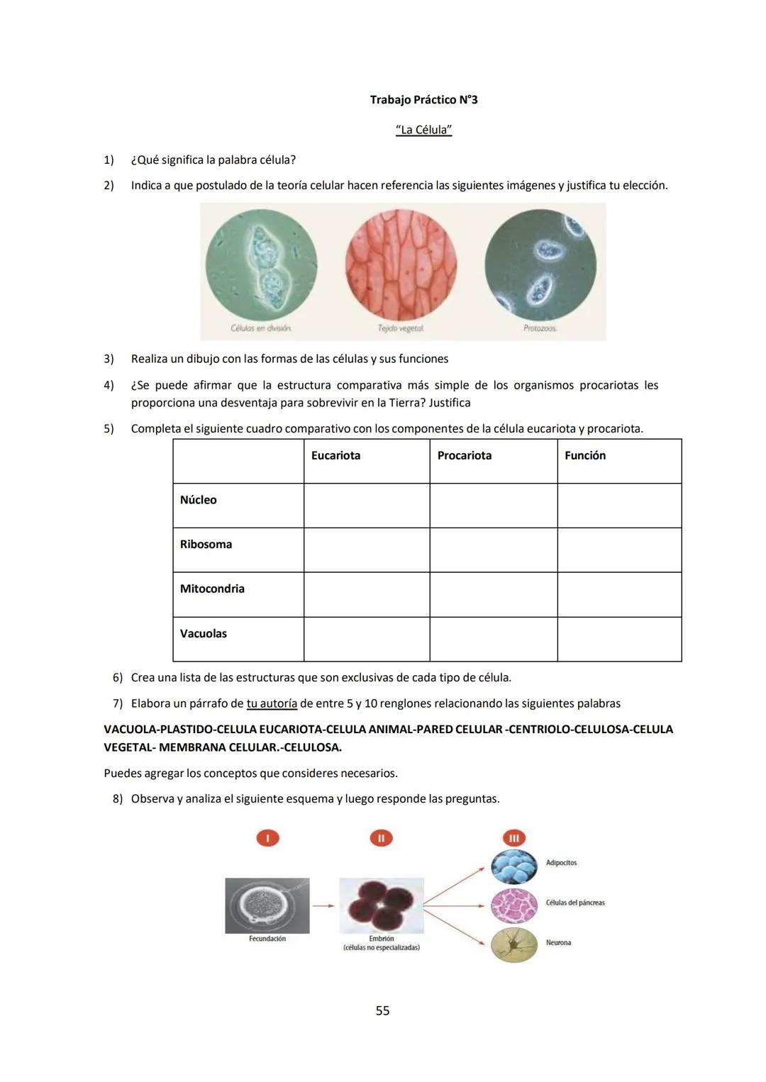 # BIOLOGÍA
## 2º AÑO
Instituto Evangélico Los Pinares
Profesora Sara Ruth Benitez
2025 Resumen de seres vivos
Los seres vivos son sistema