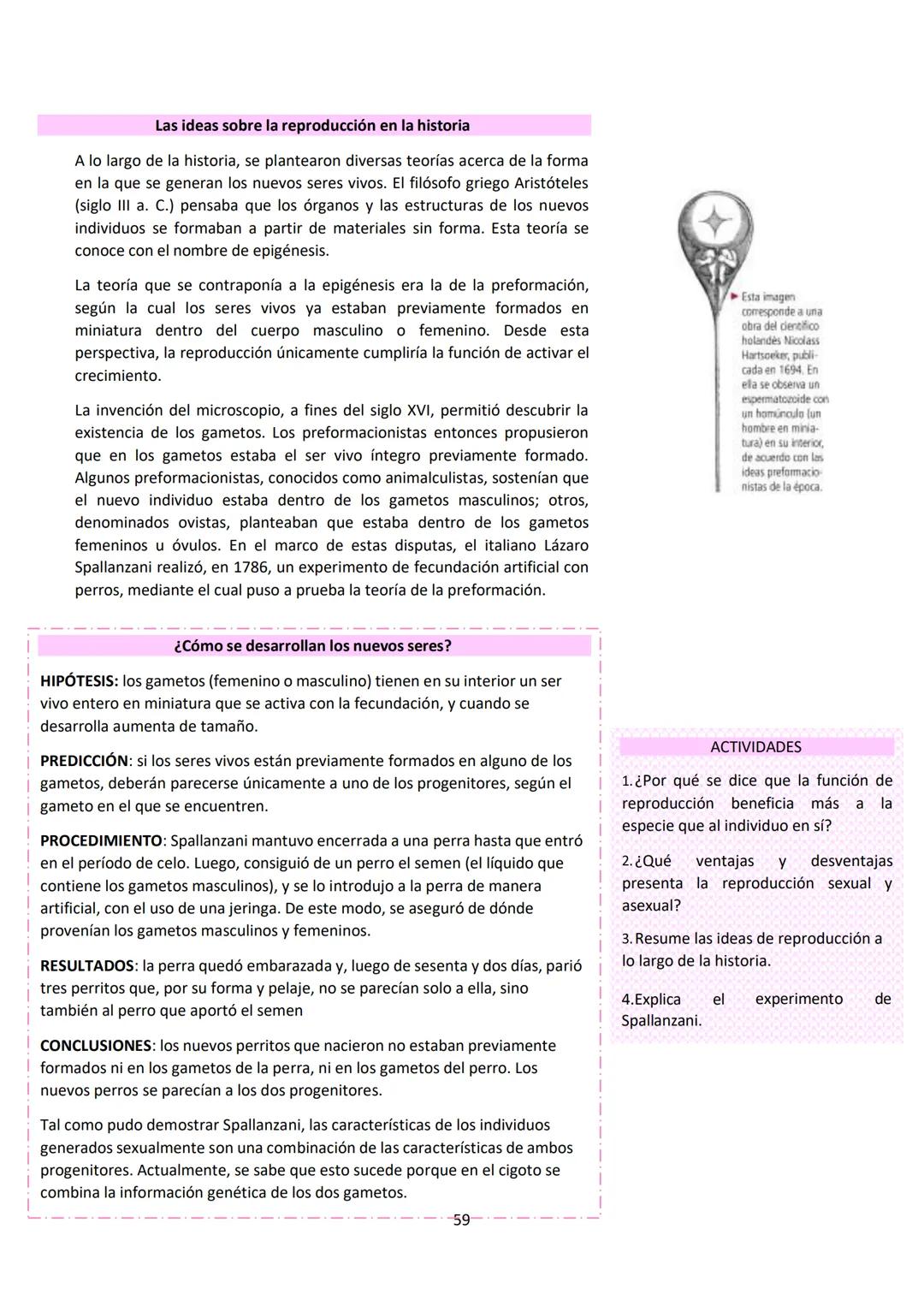 # BIOLOGÍA
## 2º AÑO
Instituto Evangélico Los Pinares
Profesora Sara Ruth Benitez
2025 Resumen de seres vivos
Los seres vivos son sistema