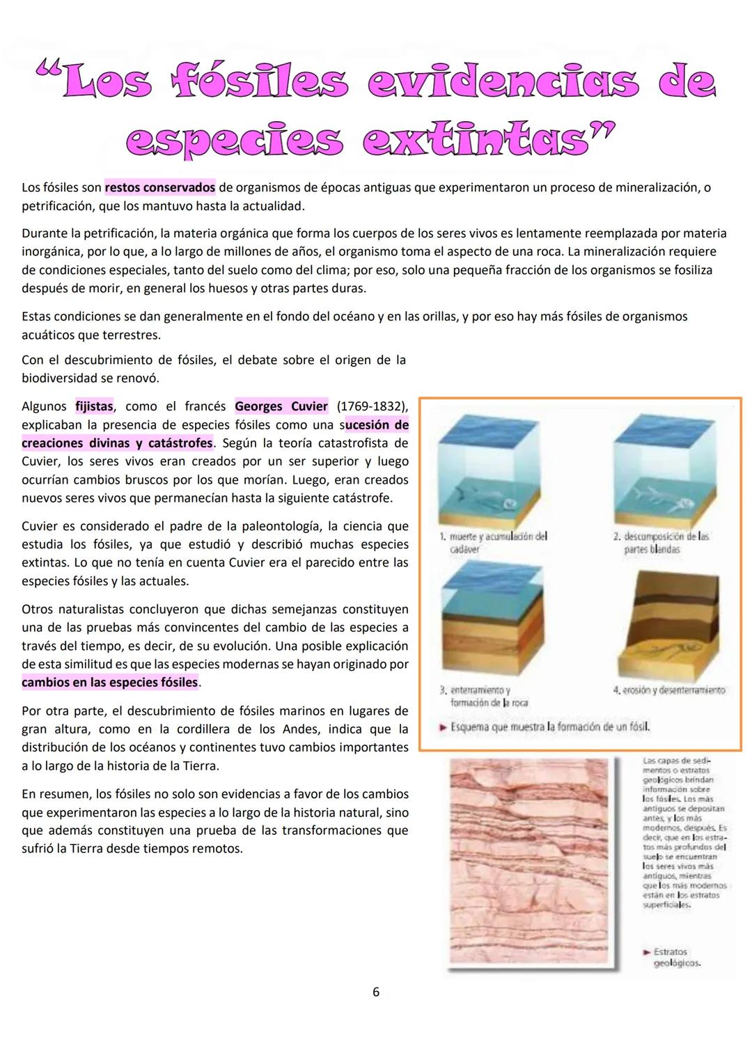 # BIOLOGÍA
## 2º AÑO
Instituto Evangélico Los Pinares
Profesora Sara Ruth Benitez
2025 Resumen de seres vivos
Los seres vivos son sistema