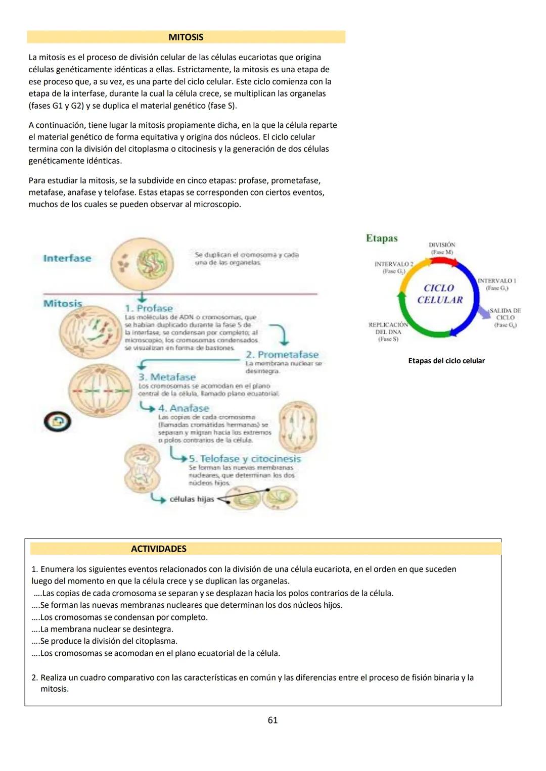 # BIOLOGÍA
## 2º AÑO
Instituto Evangélico Los Pinares
Profesora Sara Ruth Benitez
2025 Resumen de seres vivos
Los seres vivos son sistema