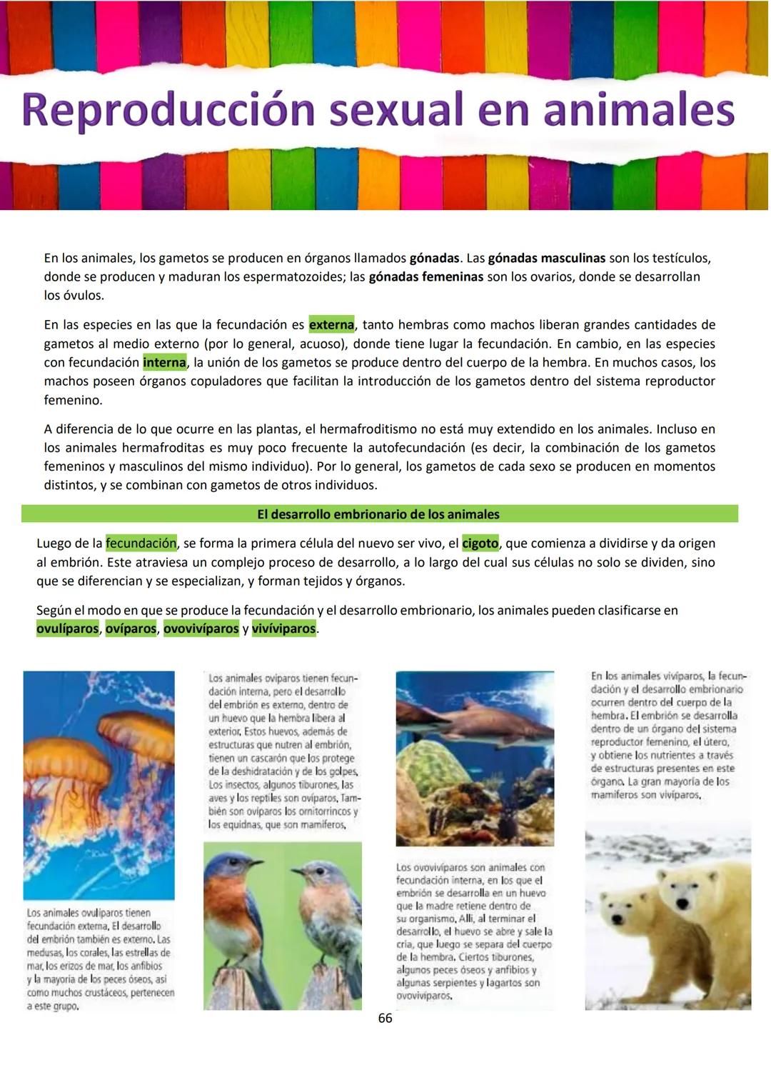 # BIOLOGÍA
## 2º AÑO
Instituto Evangélico Los Pinares
Profesora Sara Ruth Benitez
2025 Resumen de seres vivos
Los seres vivos son sistema