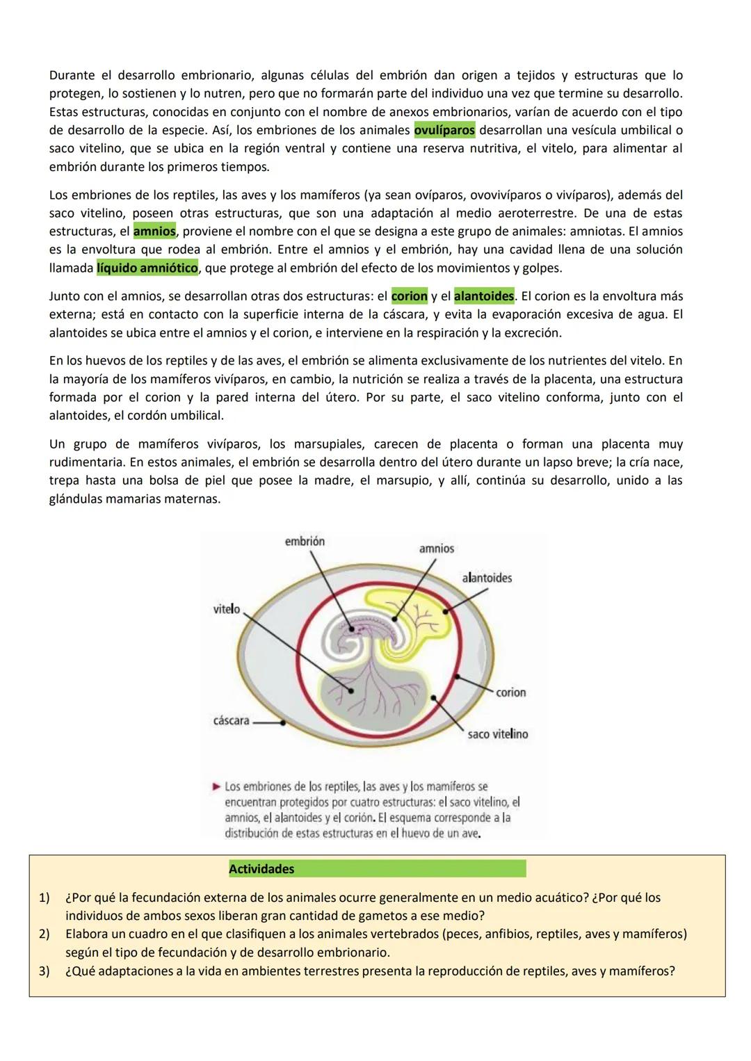 # BIOLOGÍA
## 2º AÑO
Instituto Evangélico Los Pinares
Profesora Sara Ruth Benitez
2025 Resumen de seres vivos
Los seres vivos son sistema