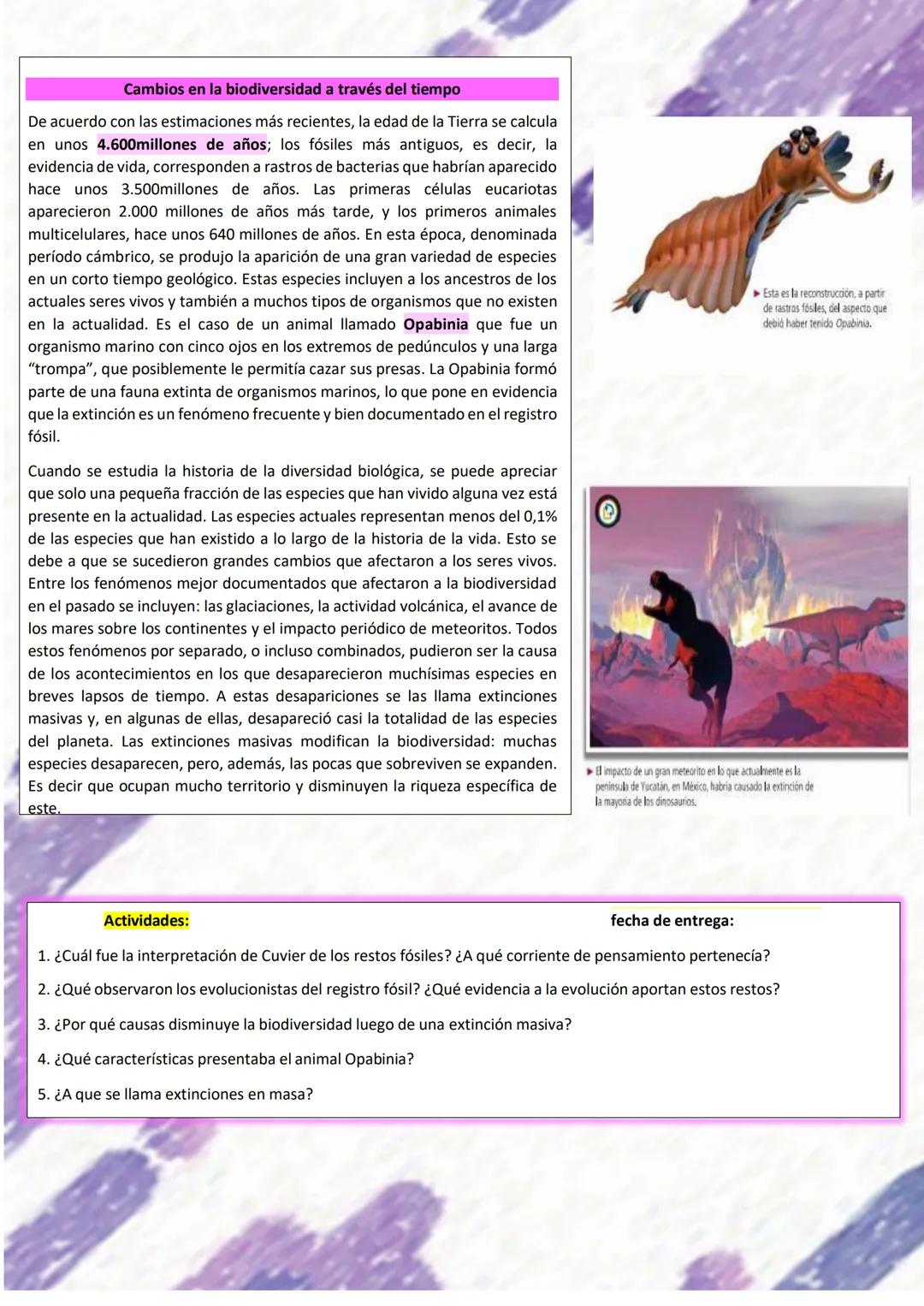 # BIOLOGÍA
## 2º AÑO
Instituto Evangélico Los Pinares
Profesora Sara Ruth Benitez
2025 Resumen de seres vivos
Los seres vivos son sistema