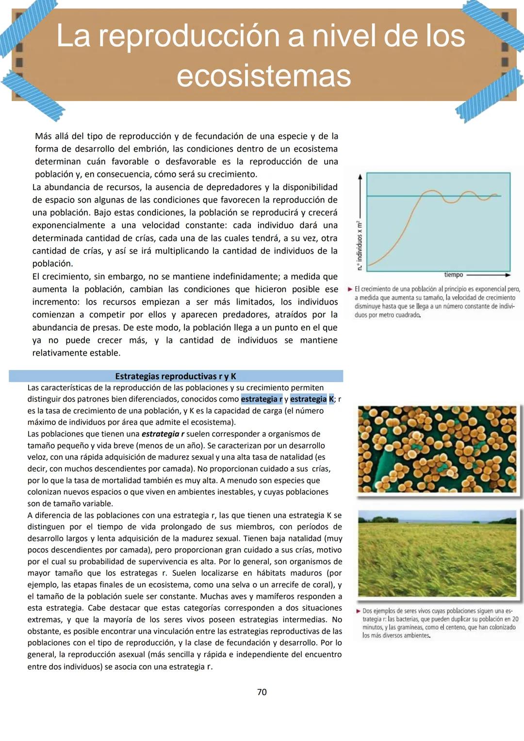 # BIOLOGÍA
## 2º AÑO
Instituto Evangélico Los Pinares
Profesora Sara Ruth Benitez
2025 Resumen de seres vivos
Los seres vivos son sistema