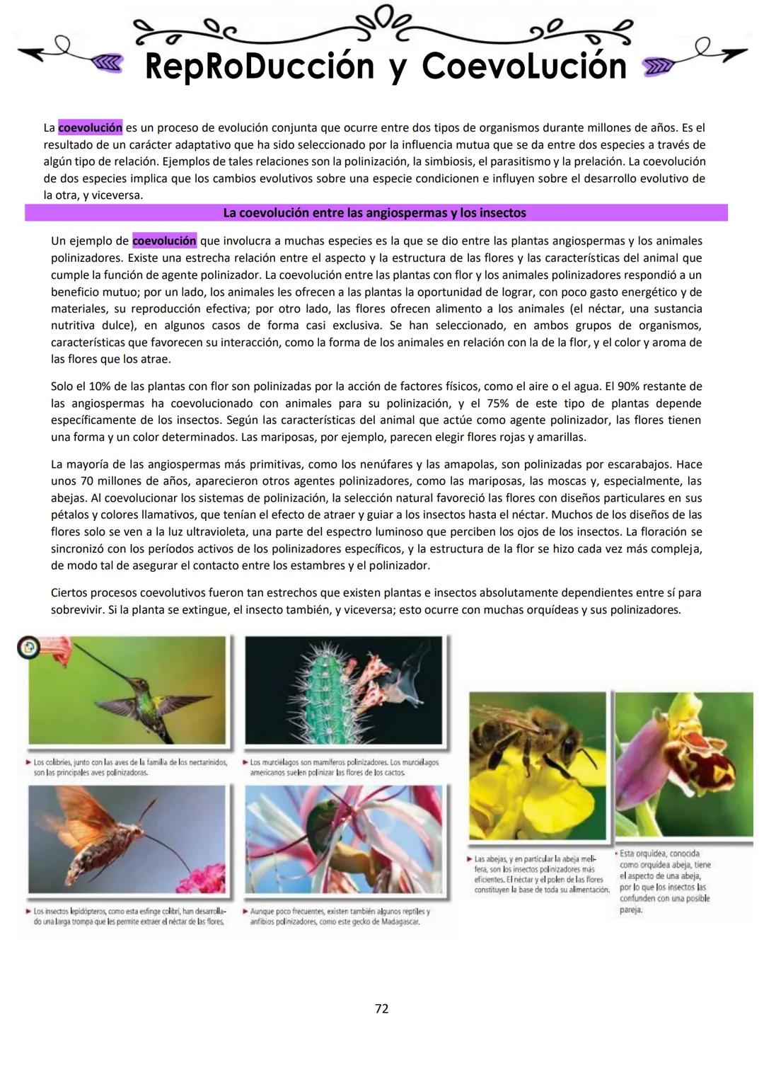 # BIOLOGÍA
## 2º AÑO
Instituto Evangélico Los Pinares
Profesora Sara Ruth Benitez
2025 Resumen de seres vivos
Los seres vivos son sistema