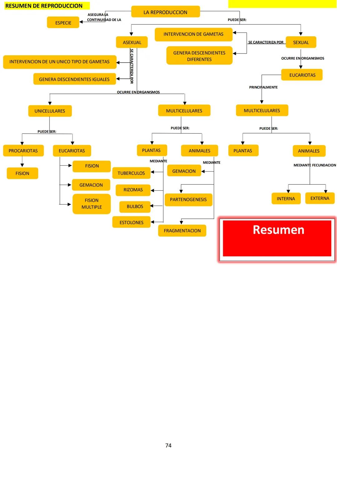 # BIOLOGÍA
## 2º AÑO
Instituto Evangélico Los Pinares
Profesora Sara Ruth Benitez
2025 Resumen de seres vivos
Los seres vivos son sistema