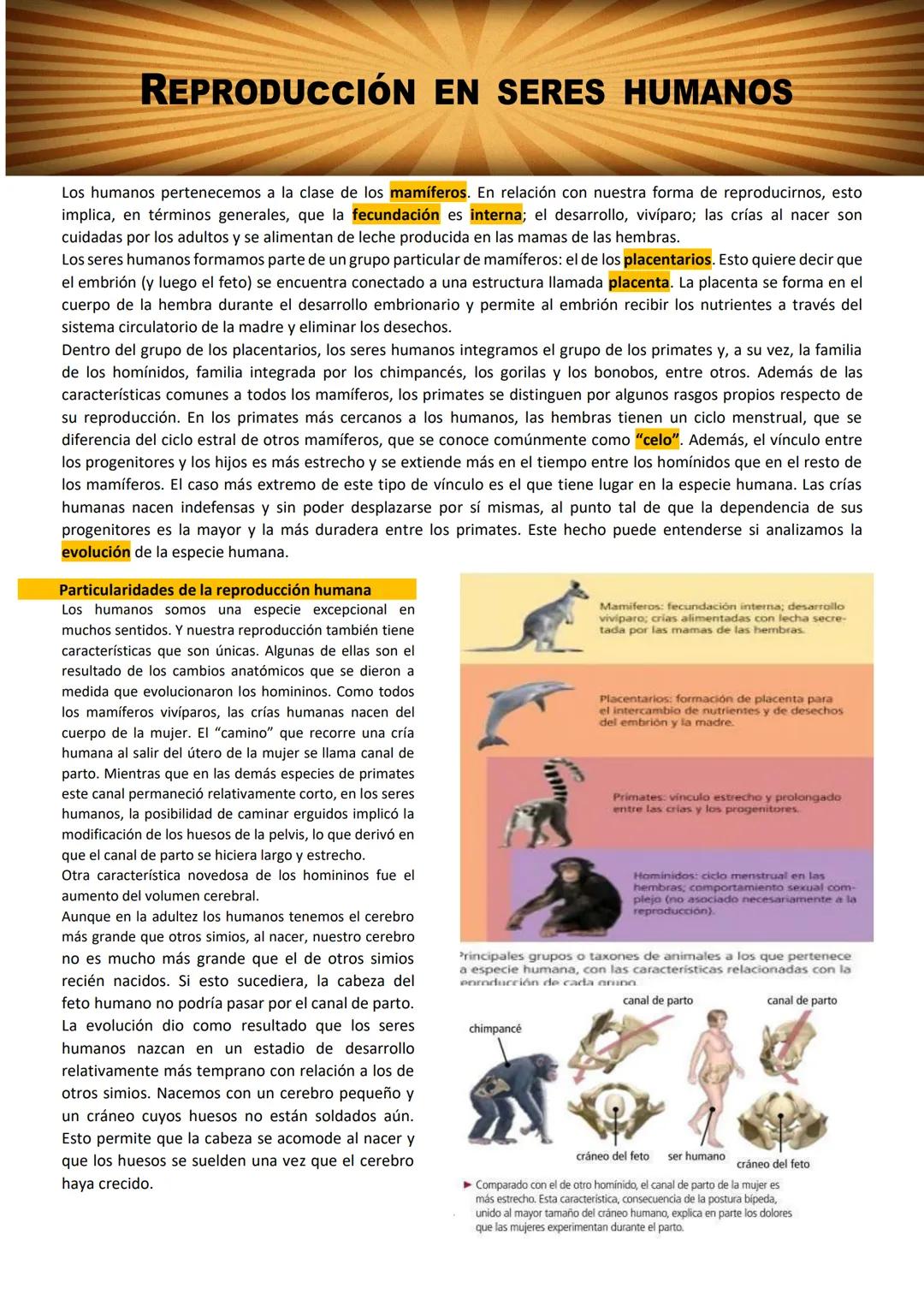 # BIOLOGÍA
## 2º AÑO
Instituto Evangélico Los Pinares
Profesora Sara Ruth Benitez
2025 Resumen de seres vivos
Los seres vivos son sistema
