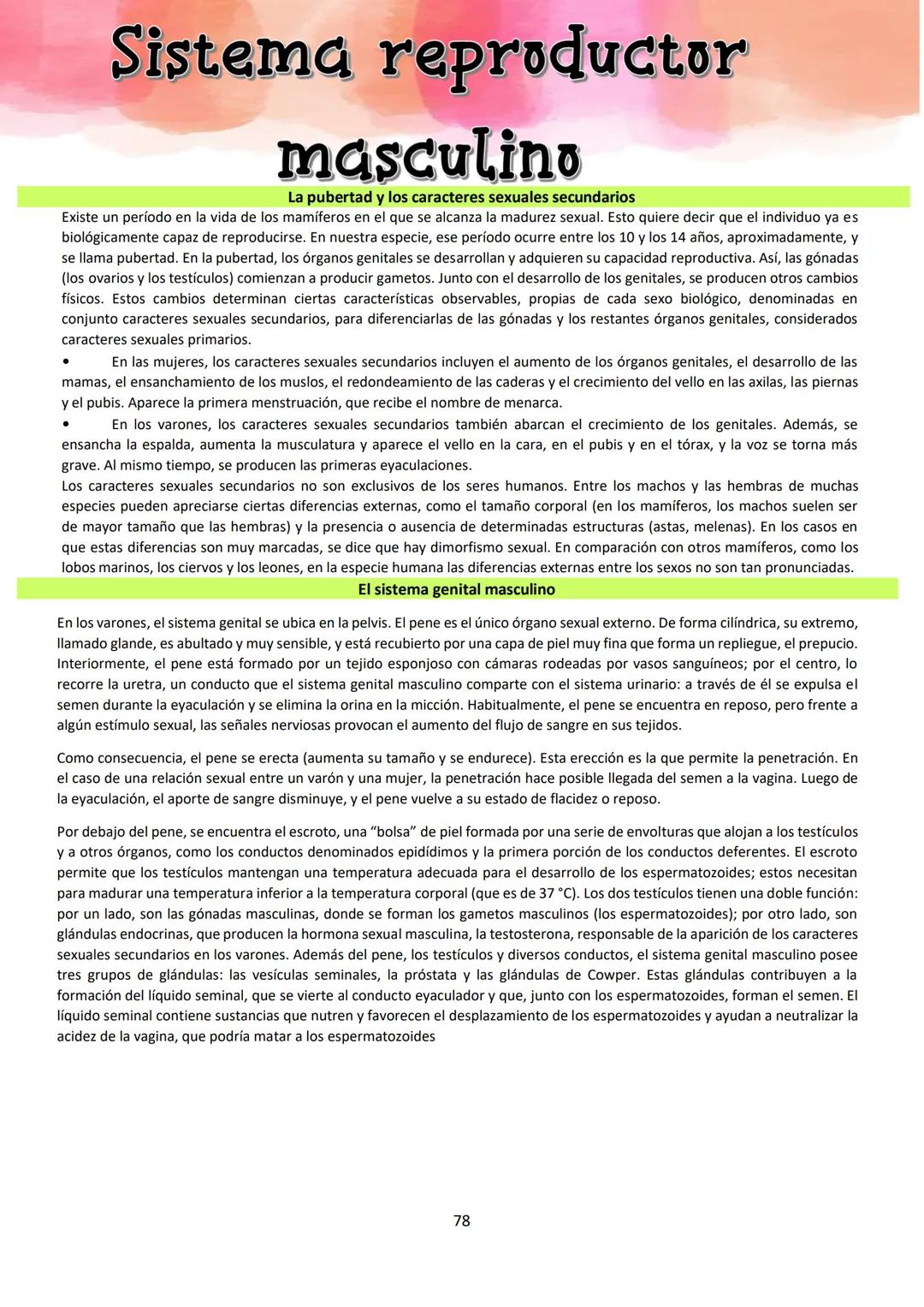 # BIOLOGÍA
## 2º AÑO
Instituto Evangélico Los Pinares
Profesora Sara Ruth Benitez
2025 Resumen de seres vivos
Los seres vivos son sistema