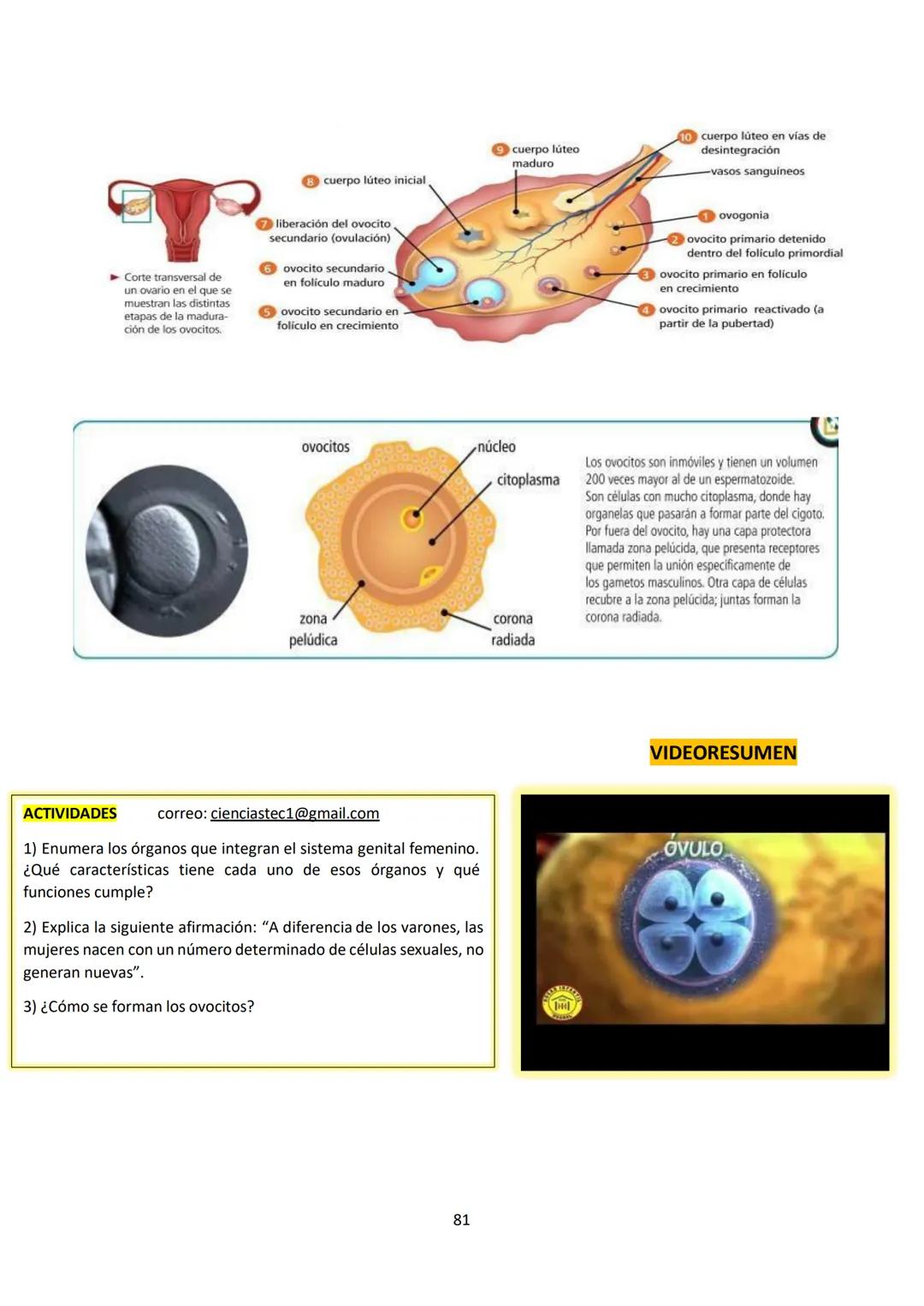 # BIOLOGÍA
## 2º AÑO
Instituto Evangélico Los Pinares
Profesora Sara Ruth Benitez
2025 Resumen de seres vivos
Los seres vivos son sistema