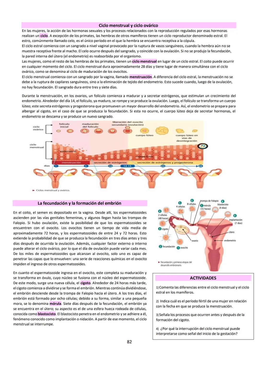 # BIOLOGÍA
## 2º AÑO
Instituto Evangélico Los Pinares
Profesora Sara Ruth Benitez
2025 Resumen de seres vivos
Los seres vivos son sistema