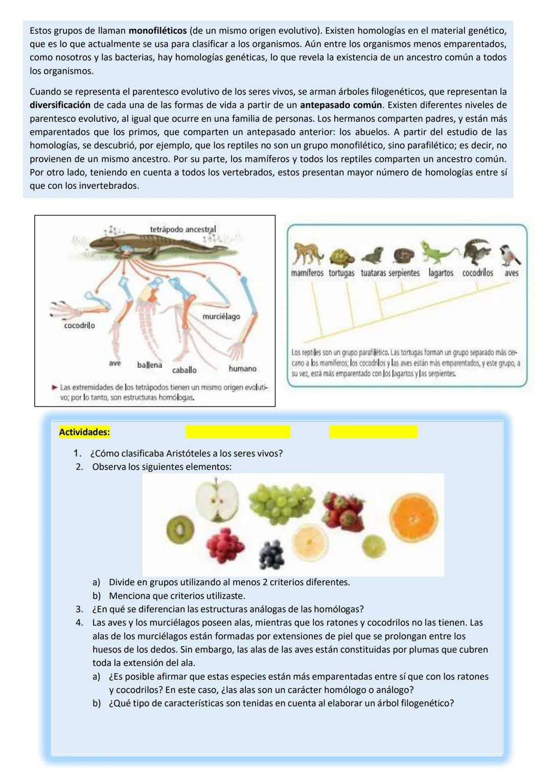 # BIOLOGÍA
## 2º AÑO
Instituto Evangélico Los Pinares
Profesora Sara Ruth Benitez
2025 Resumen de seres vivos
Los seres vivos son sistema