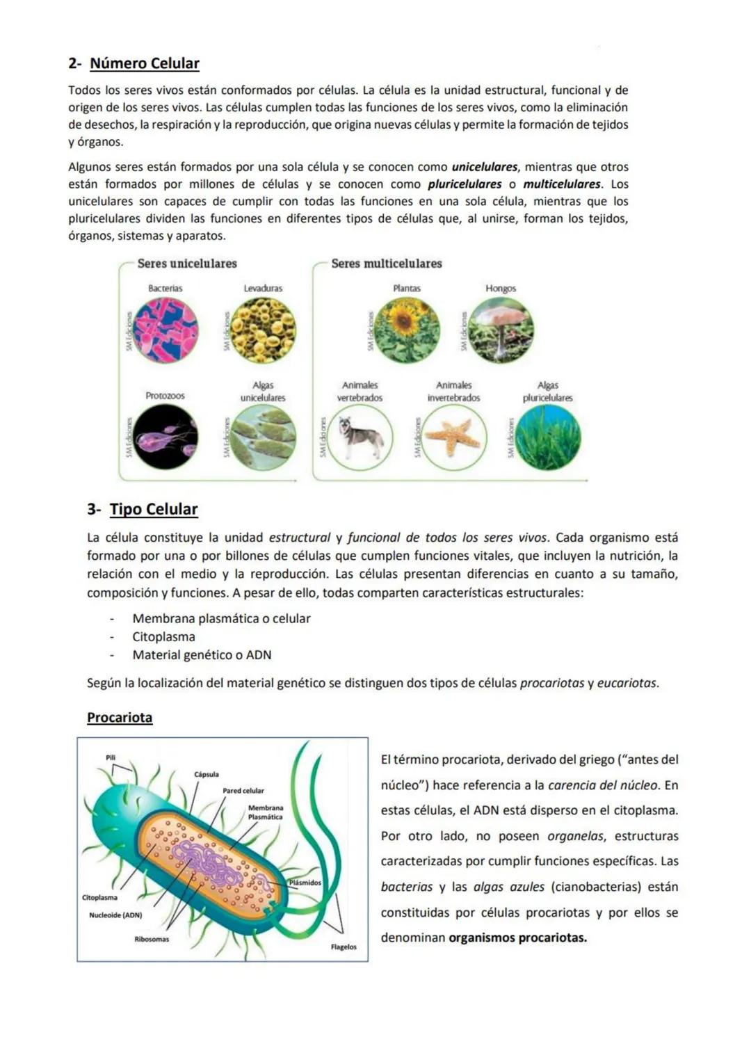CIENCIAS NATURALES
Curso: 2 "B" Τ.Ν
Cpem nº 27
Características de los seres vivos
A pesar de que una bacteria, un roble, una estrella de mar