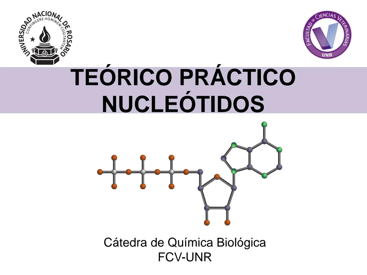 NACIONAL DE R
SIDAD
COGITANTEM
ROSARIO
UNIVER
TEÓRICO PRÁCTICO
NUCLEÓTIDOS
Cátedra de Química Biológica
FCV-UNR
CIENCIAS VETERI
FACULTAD DE