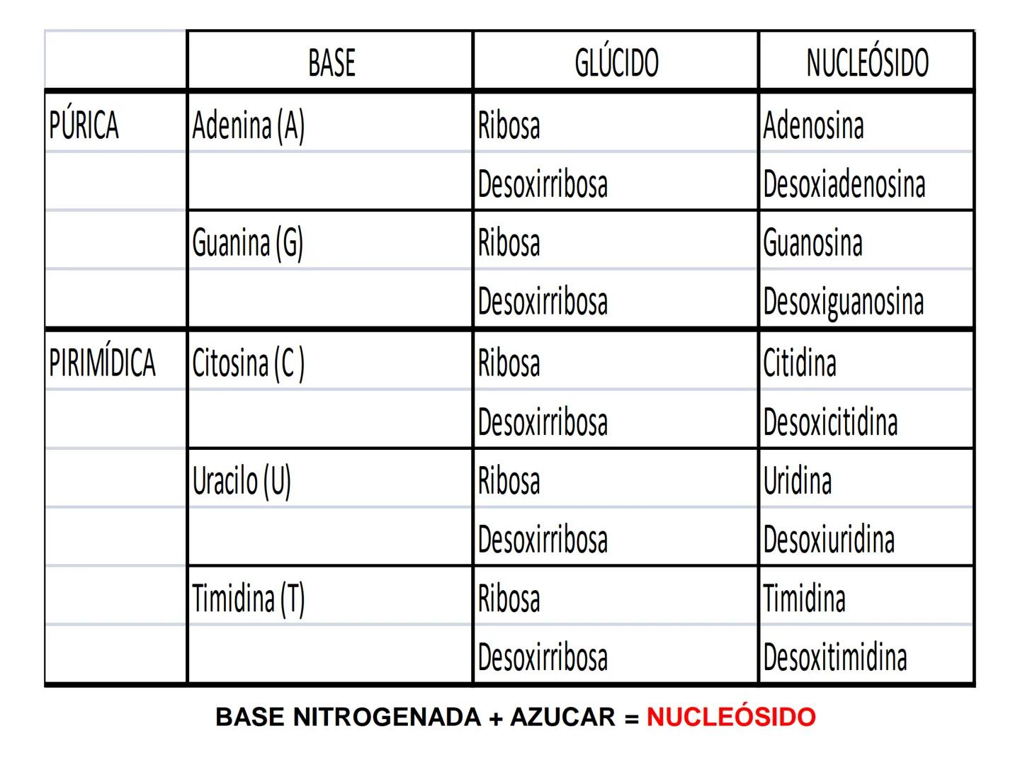 NACIONAL DE R
SIDAD
COGITANTEM
ROSARIO
UNIVER
TEÓRICO PRÁCTICO
NUCLEÓTIDOS
Cátedra de Química Biológica
FCV-UNR
CIENCIAS VETERI
FACULTAD DE