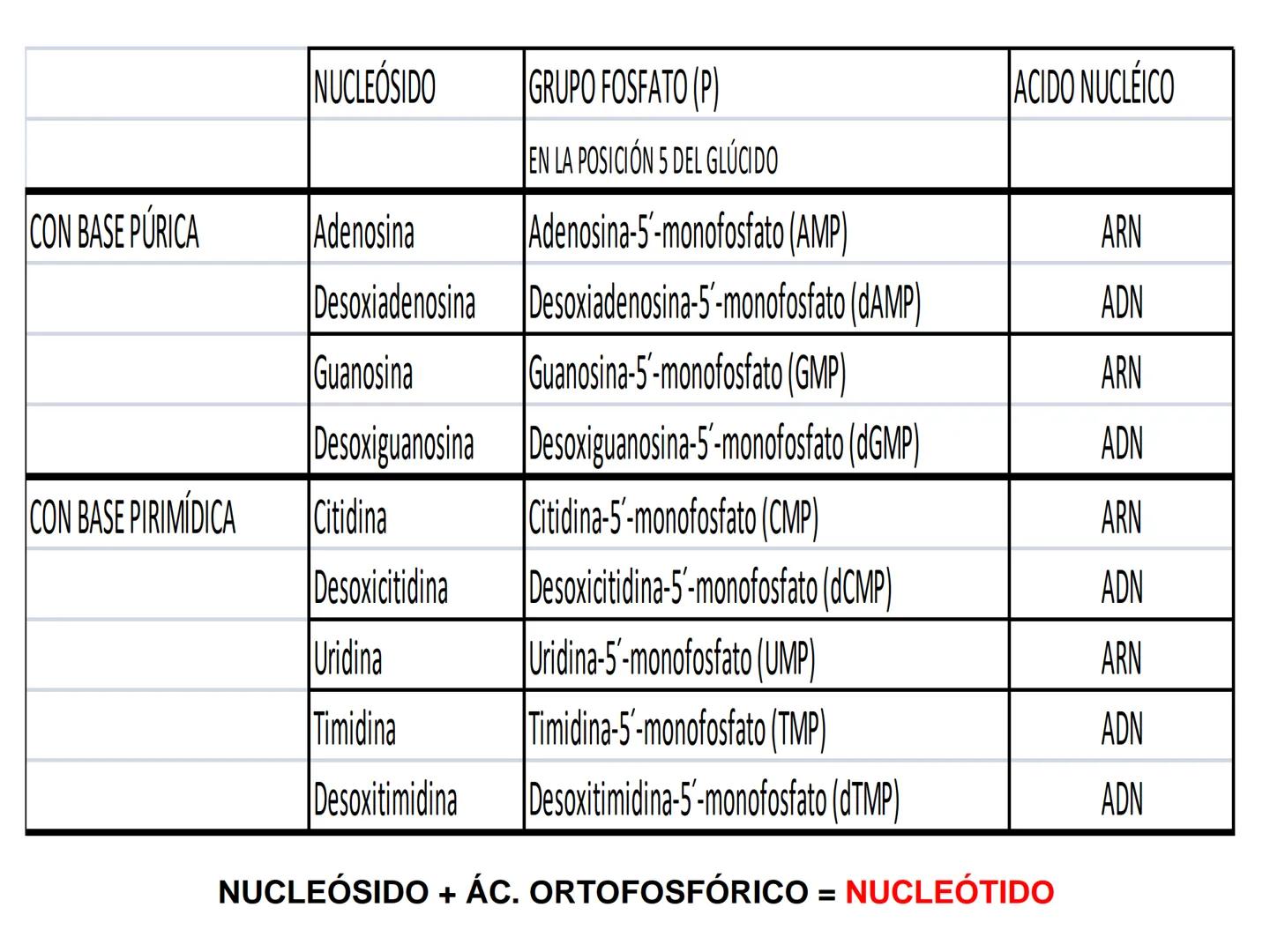 NACIONAL DE R
SIDAD
COGITANTEM
ROSARIO
UNIVER
TEÓRICO PRÁCTICO
NUCLEÓTIDOS
Cátedra de Química Biológica
FCV-UNR
CIENCIAS VETERI
FACULTAD DE