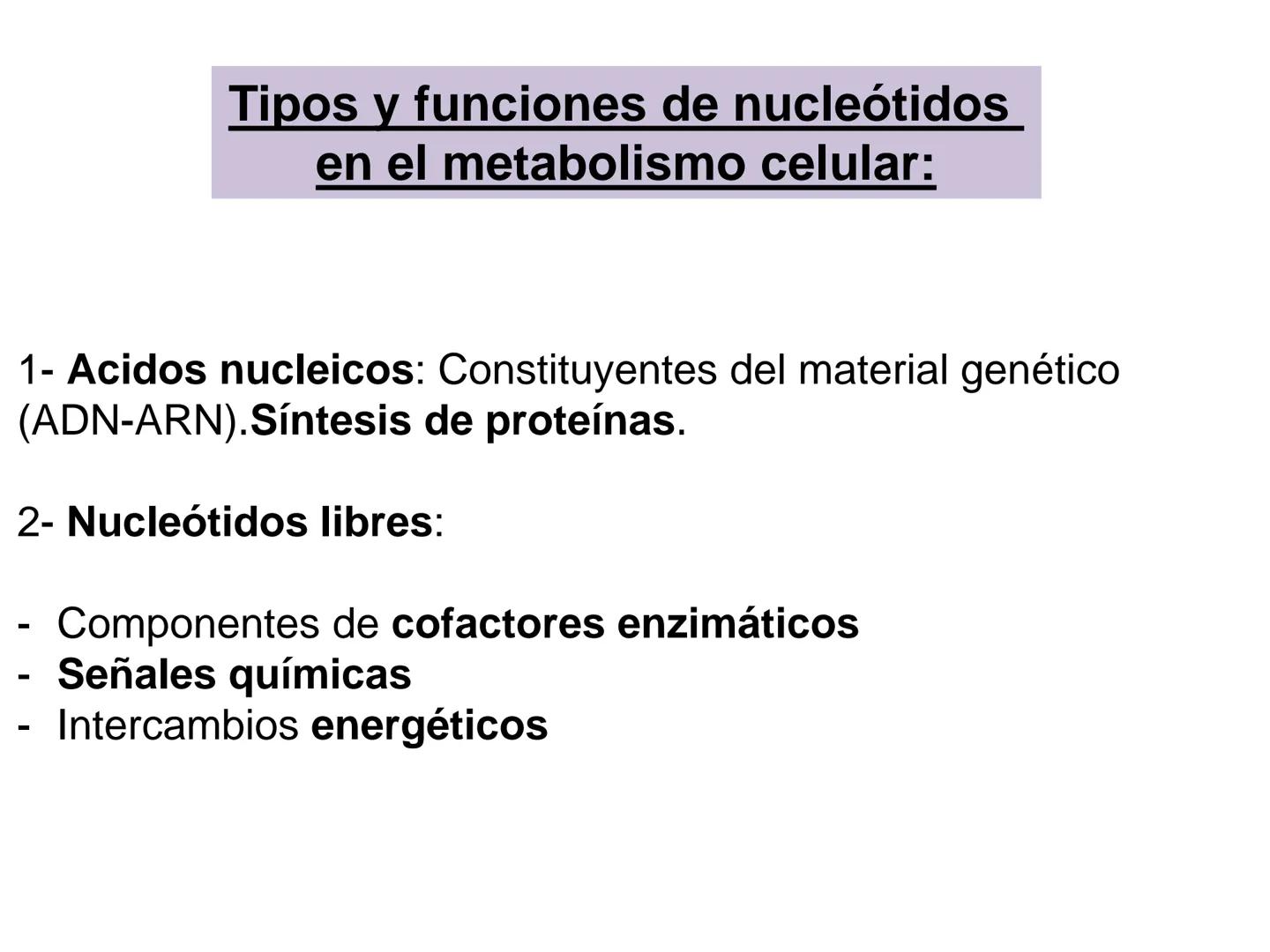 NACIONAL DE R
SIDAD
COGITANTEM
ROSARIO
UNIVER
TEÓRICO PRÁCTICO
NUCLEÓTIDOS
Cátedra de Química Biológica
FCV-UNR
CIENCIAS VETERI
FACULTAD DE