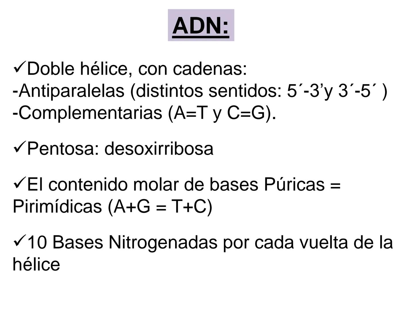 NACIONAL DE R
SIDAD
COGITANTEM
ROSARIO
UNIVER
TEÓRICO PRÁCTICO
NUCLEÓTIDOS
Cátedra de Química Biológica
FCV-UNR
CIENCIAS VETERI
FACULTAD DE