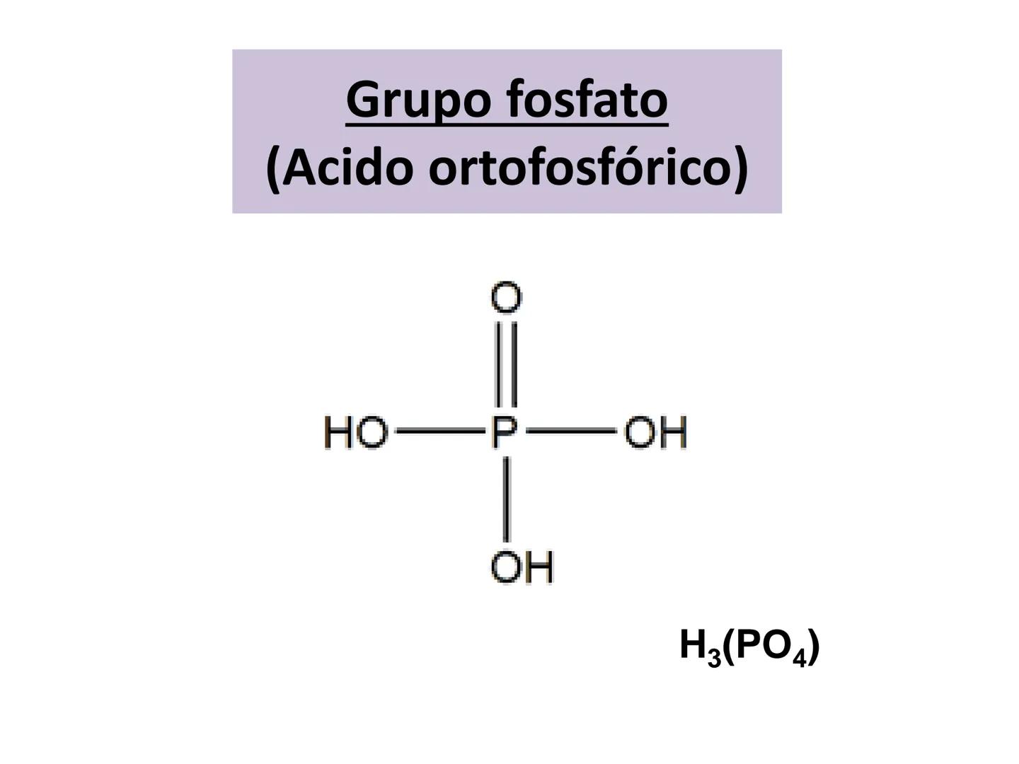 NACIONAL DE R
SIDAD
COGITANTEM
ROSARIO
UNIVER
TEÓRICO PRÁCTICO
NUCLEÓTIDOS
Cátedra de Química Biológica
FCV-UNR
CIENCIAS VETERI
FACULTAD DE