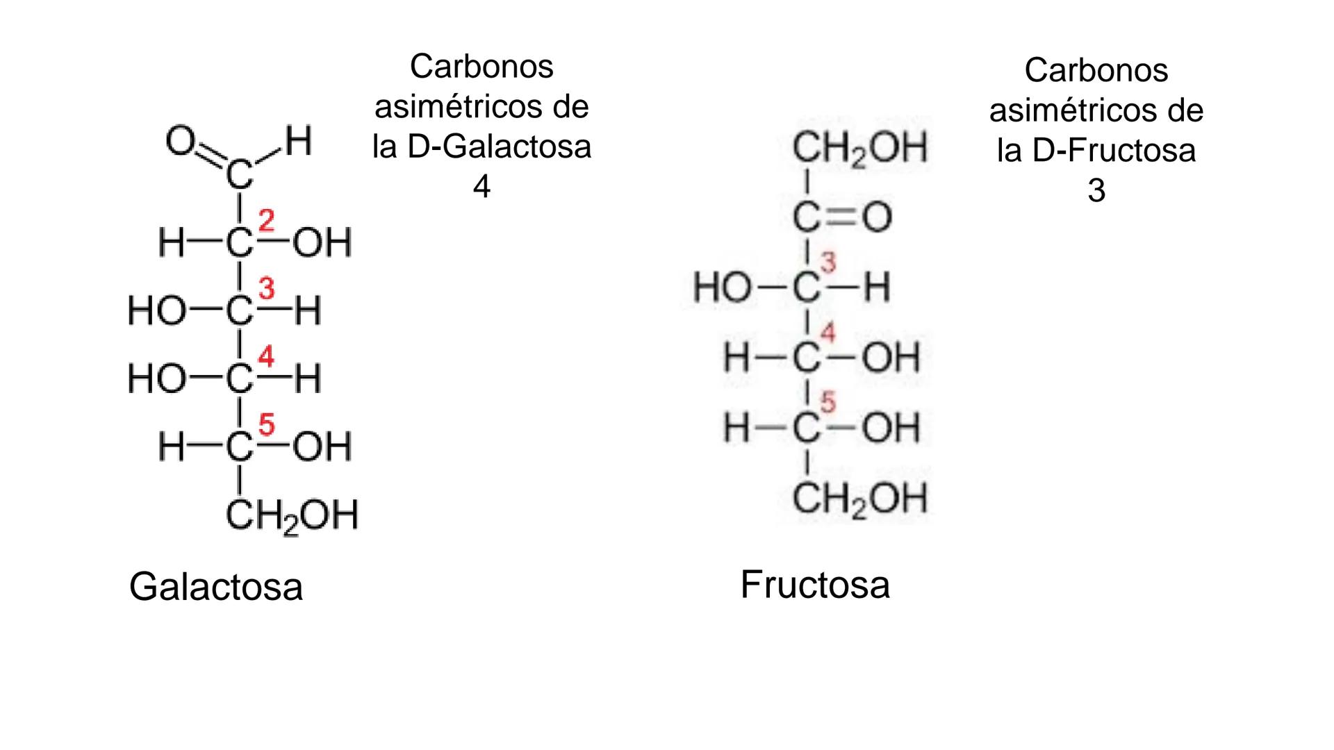 ## DAD NACIONAL DE
CONFINGERE HOMINEM
DE ROSARIO
COGITANTEM
## Glúcidos
Trabajos Prácticos
Cátedra de Química Biológica I
FACULTAD
C