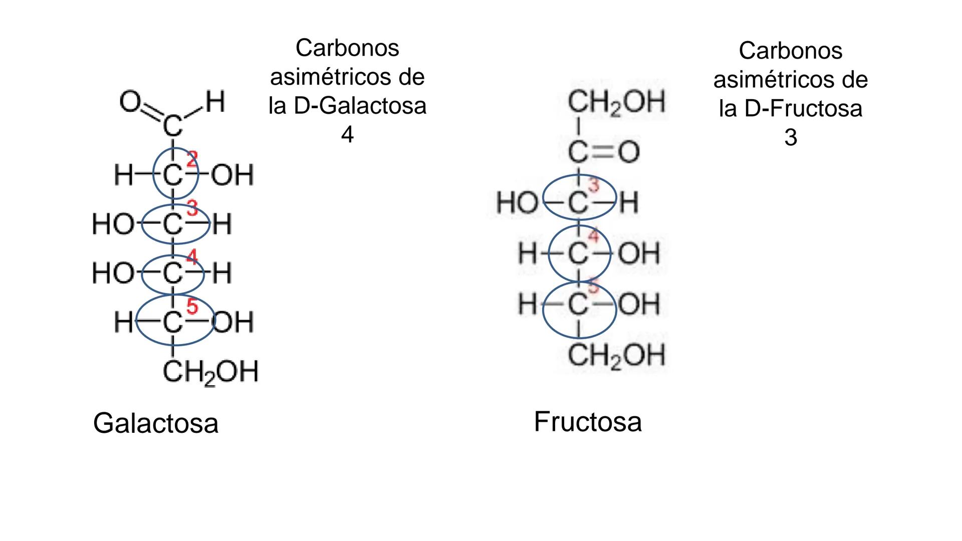 ## DAD NACIONAL DE
CONFINGERE HOMINEM
DE ROSARIO
COGITANTEM
## Glúcidos
Trabajos Prácticos
Cátedra de Química Biológica I
FACULTAD
C