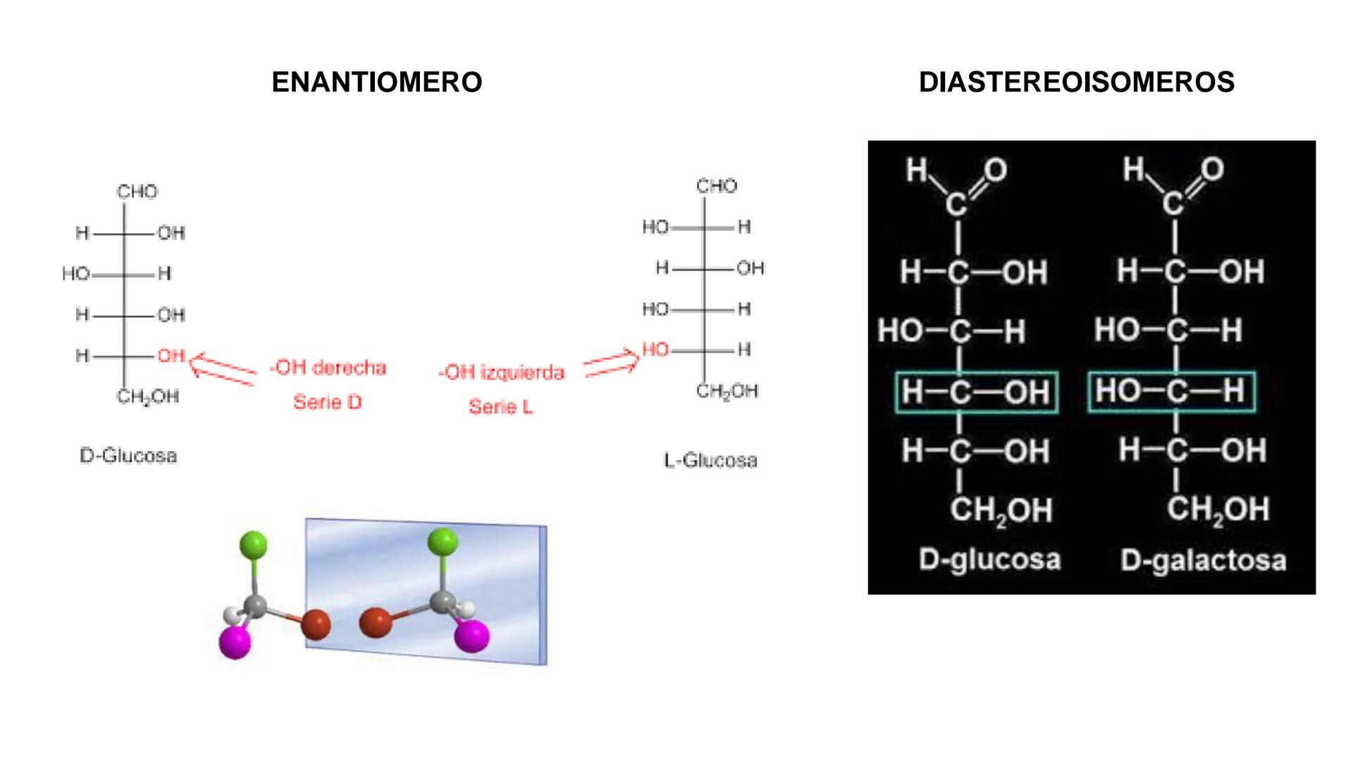 ## DAD NACIONAL DE
CONFINGERE HOMINEM
DE ROSARIO
COGITANTEM
## Glúcidos
Trabajos Prácticos
Cátedra de Química Biológica I
FACULTAD
C