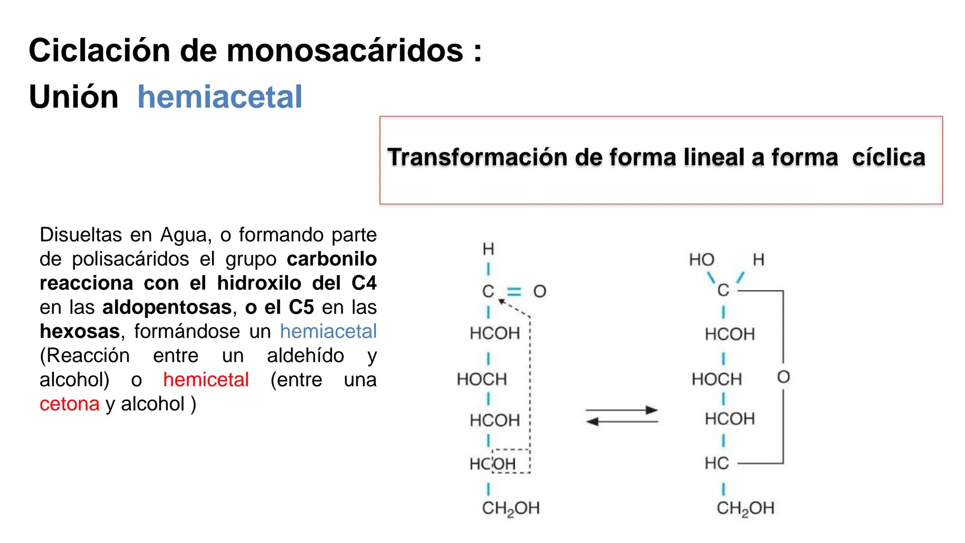 ## DAD NACIONAL DE
CONFINGERE HOMINEM
DE ROSARIO
COGITANTEM
## Glúcidos
Trabajos Prácticos
Cátedra de Química Biológica I
FACULTAD
C