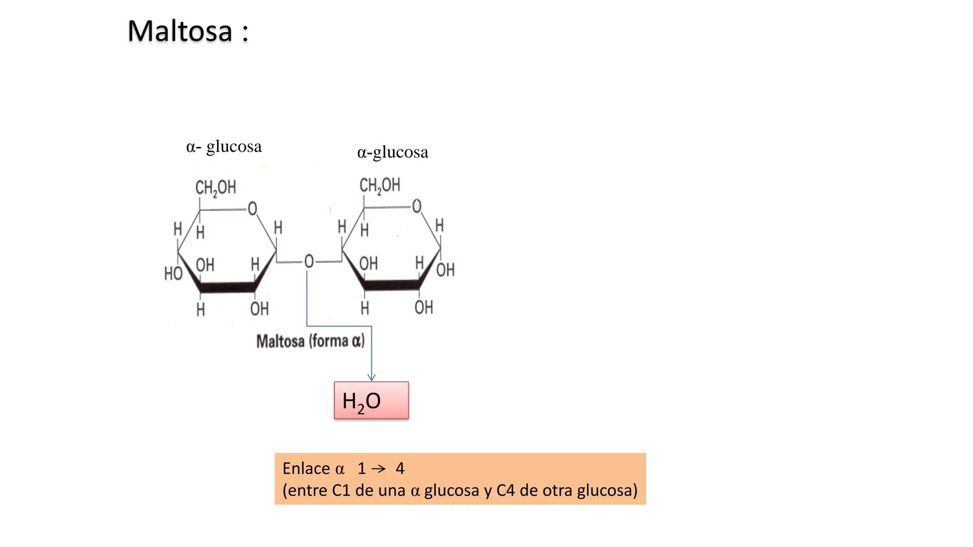 ## DAD NACIONAL DE
CONFINGERE HOMINEM
DE ROSARIO
COGITANTEM
## Glúcidos
Trabajos Prácticos
Cátedra de Química Biológica I
FACULTAD
C