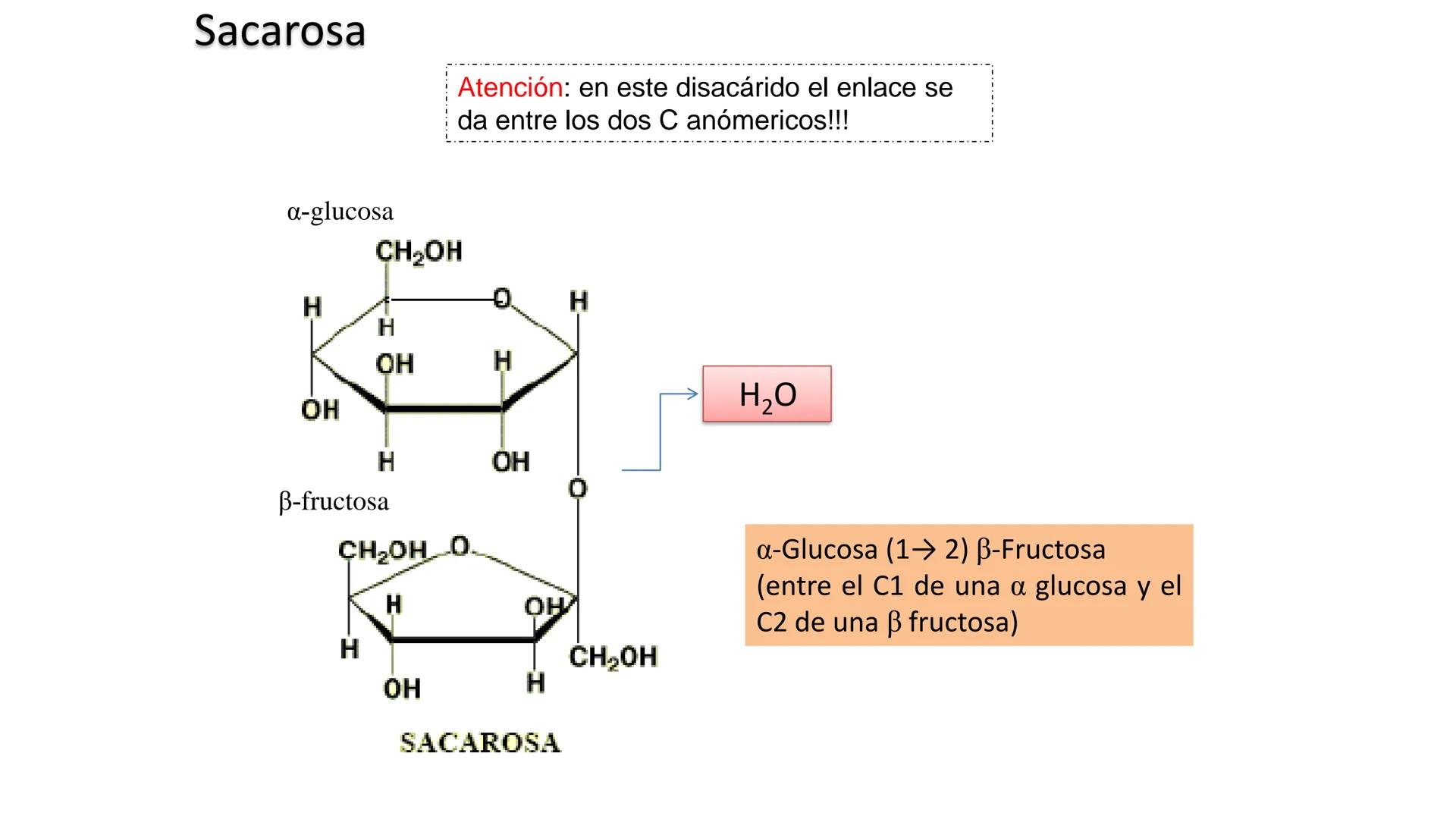 ## DAD NACIONAL DE
CONFINGERE HOMINEM
DE ROSARIO
COGITANTEM
## Glúcidos
Trabajos Prácticos
Cátedra de Química Biológica I
FACULTAD
C