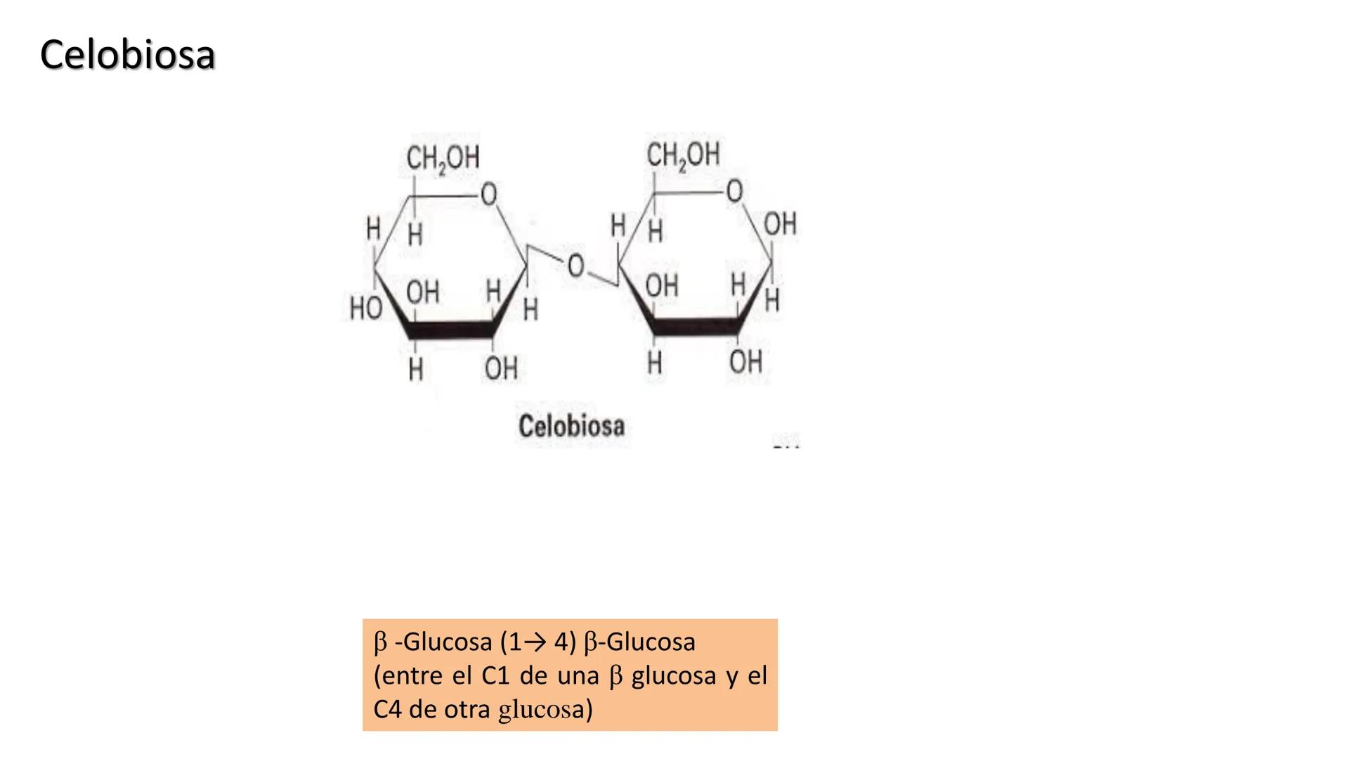 ## DAD NACIONAL DE
CONFINGERE HOMINEM
DE ROSARIO
COGITANTEM
## Glúcidos
Trabajos Prácticos
Cátedra de Química Biológica I
FACULTAD
C