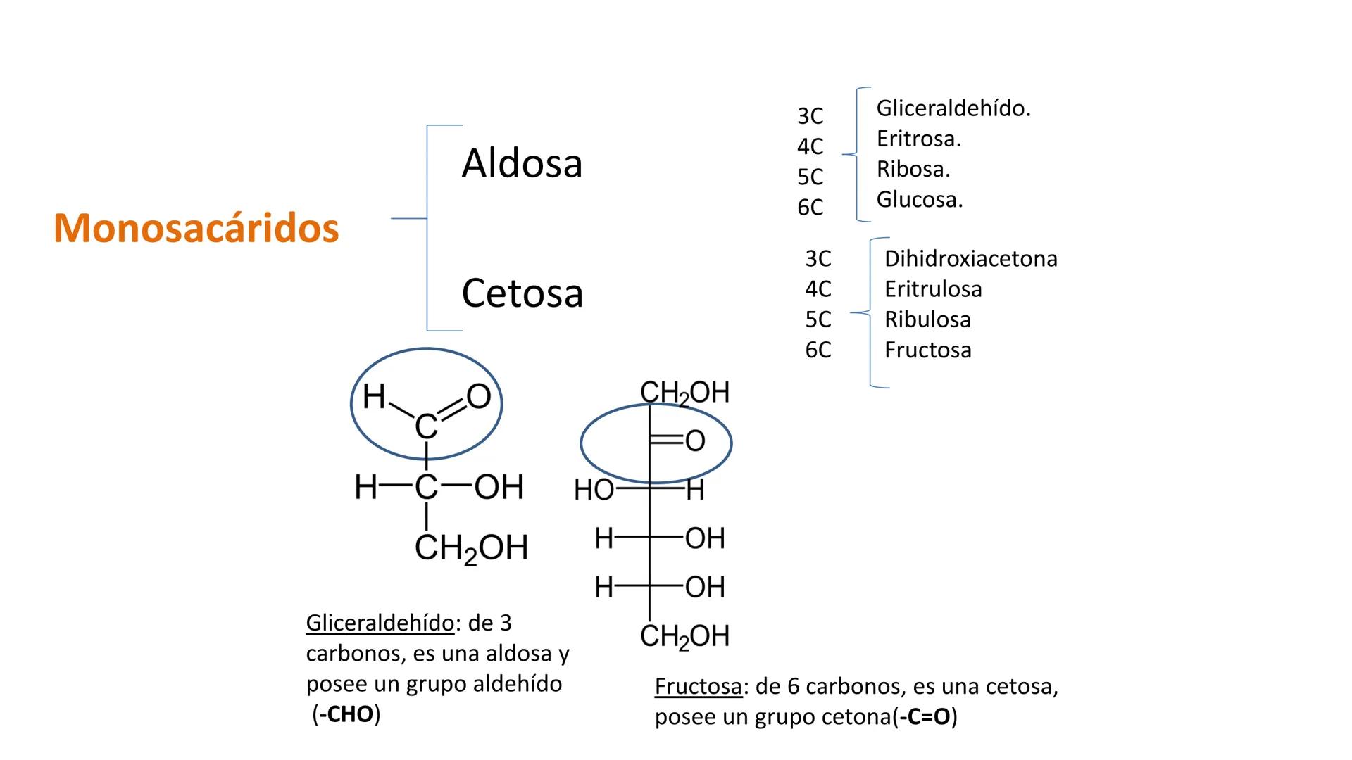 ## DAD NACIONAL DE
CONFINGERE HOMINEM
DE ROSARIO
COGITANTEM
## Glúcidos
Trabajos Prácticos
Cátedra de Química Biológica I
FACULTAD
C