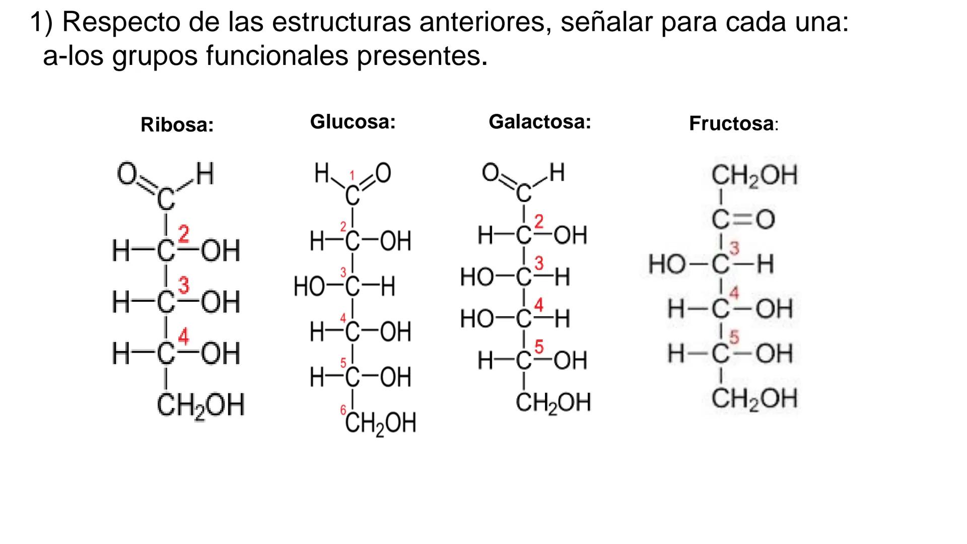 ## DAD NACIONAL DE
CONFINGERE HOMINEM
DE ROSARIO
COGITANTEM
## Glúcidos
Trabajos Prácticos
Cátedra de Química Biológica I
FACULTAD
C