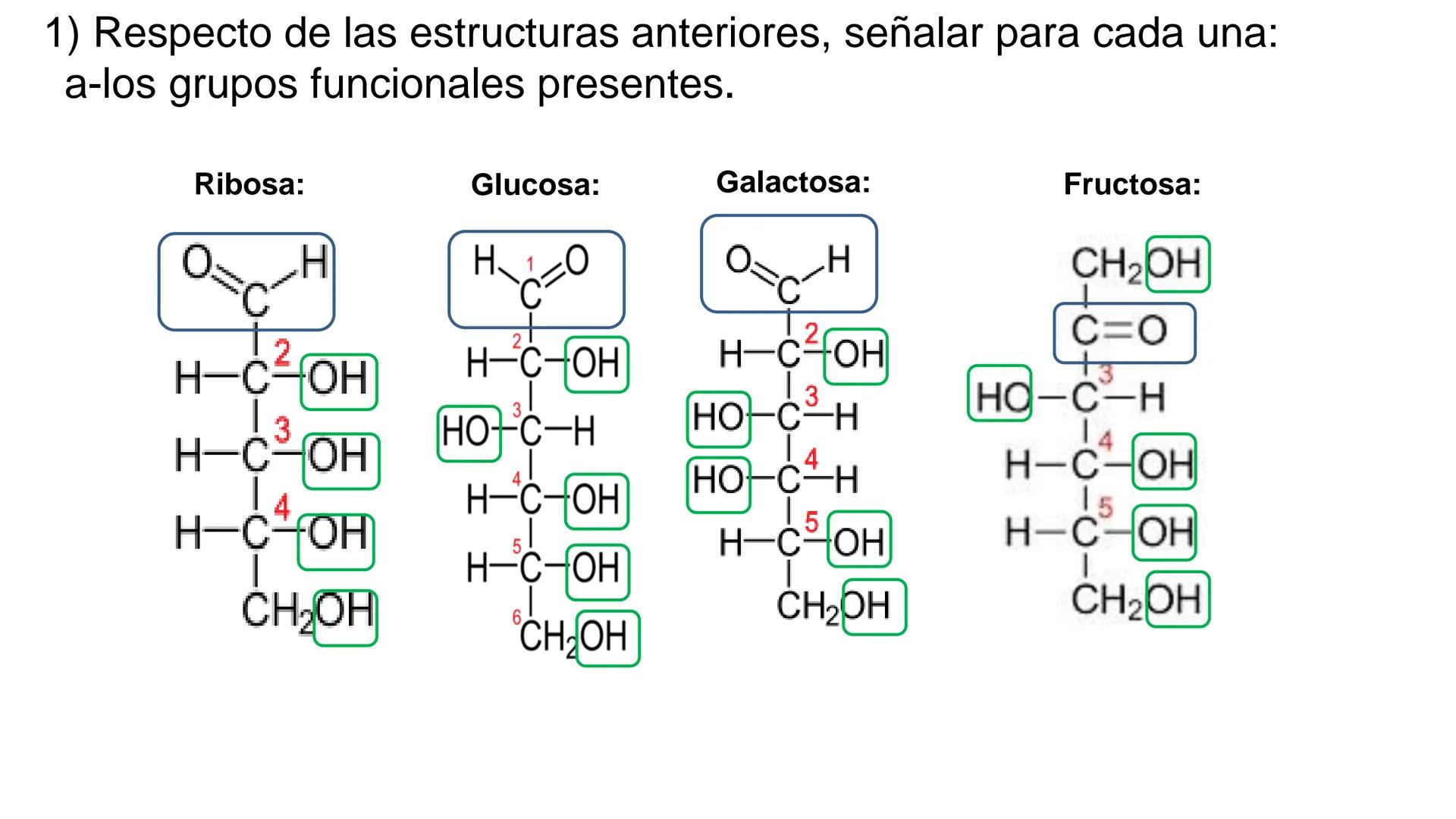 ## DAD NACIONAL DE
CONFINGERE HOMINEM
DE ROSARIO
COGITANTEM
## Glúcidos
Trabajos Prácticos
Cátedra de Química Biológica I
FACULTAD
C