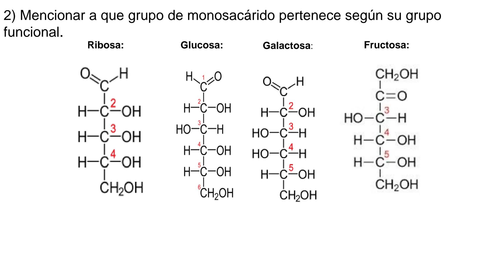## DAD NACIONAL DE
CONFINGERE HOMINEM
DE ROSARIO
COGITANTEM
## Glúcidos
Trabajos Prácticos
Cátedra de Química Biológica I
FACULTAD
C
