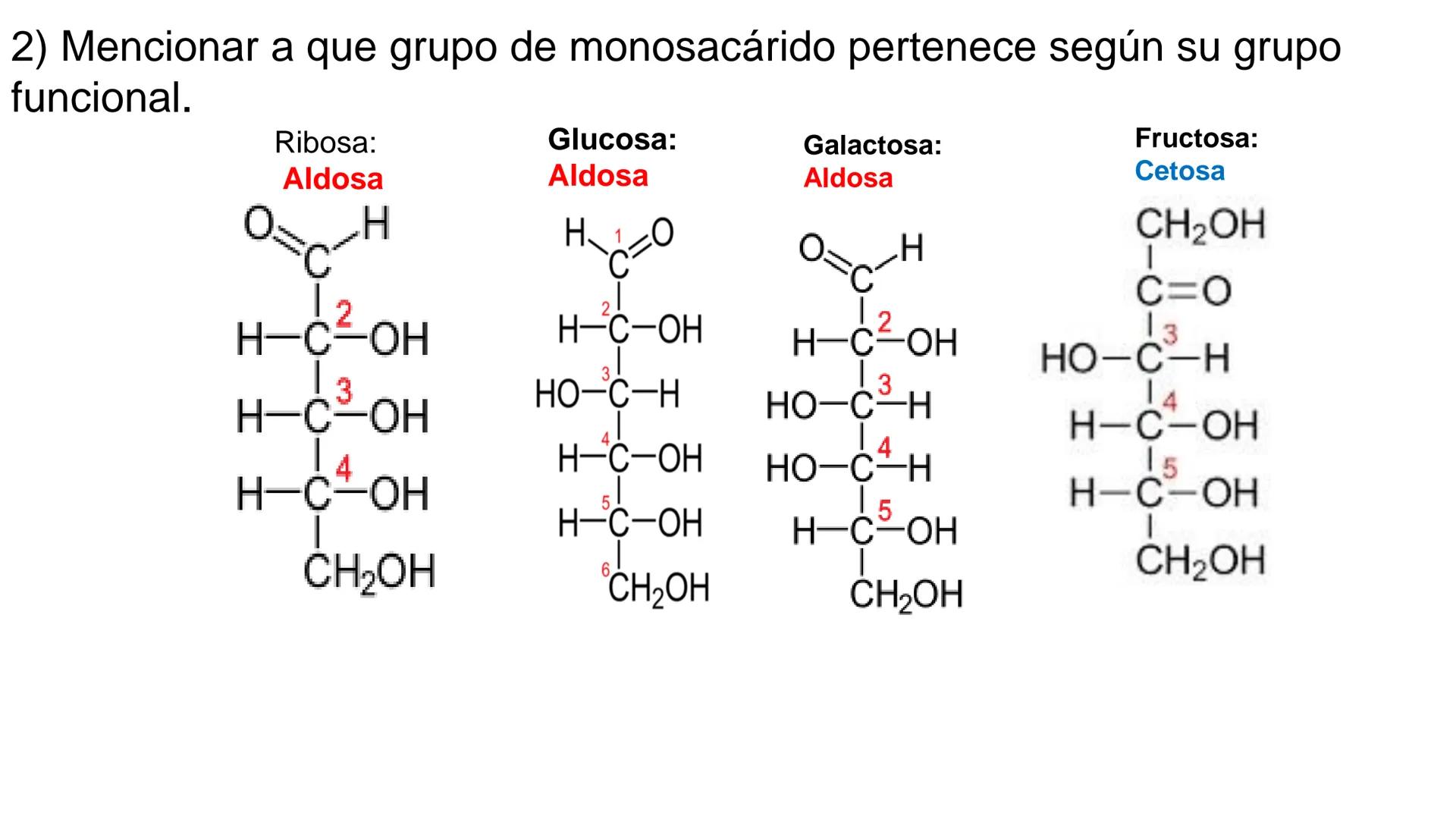 ## DAD NACIONAL DE
CONFINGERE HOMINEM
DE ROSARIO
COGITANTEM
## Glúcidos
Trabajos Prácticos
Cátedra de Química Biológica I
FACULTAD
C