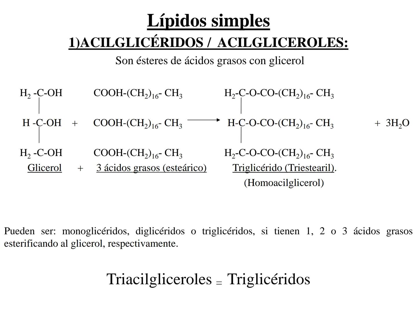 # Teórico-Práctico N°9
# LÍPIDOS
Química Biológica I Estructura de Lípidos:
Son un grupo heterogéneo de sustancias orgánicas, distribuidas