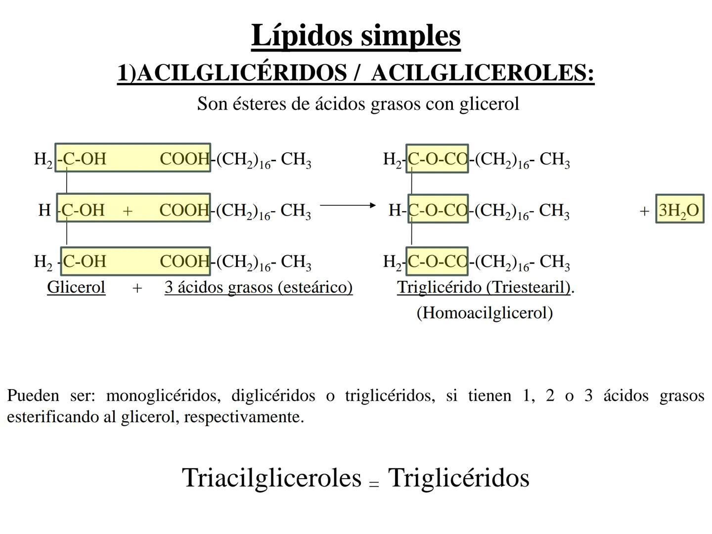 # Teórico-Práctico N°9
# LÍPIDOS
Química Biológica I Estructura de Lípidos:
Son un grupo heterogéneo de sustancias orgánicas, distribuidas