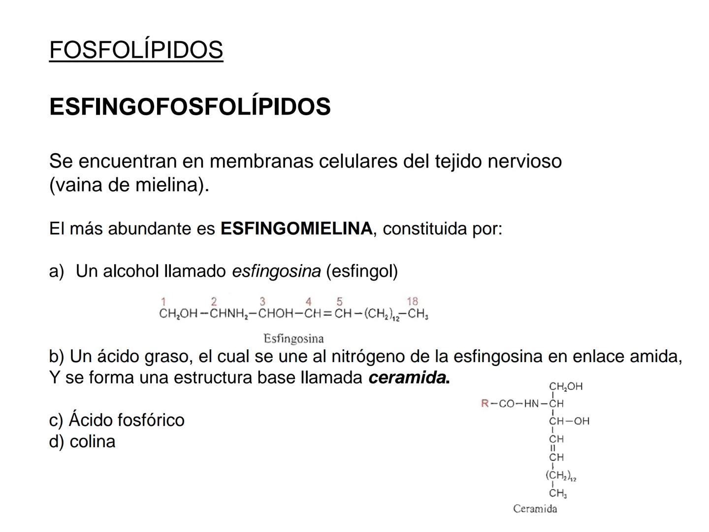 # Teórico-Práctico N°9
# LÍPIDOS
Química Biológica I Estructura de Lípidos:
Son un grupo heterogéneo de sustancias orgánicas, distribuidas
