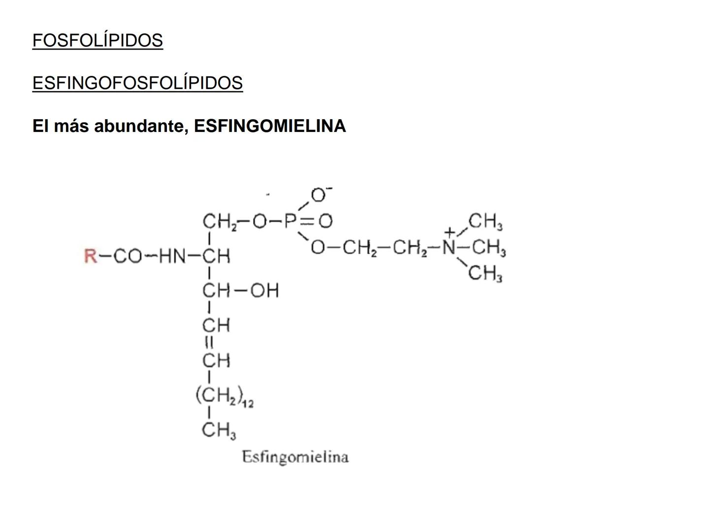 # Teórico-Práctico N°9
# LÍPIDOS
Química Biológica I Estructura de Lípidos:
Son un grupo heterogéneo de sustancias orgánicas, distribuidas