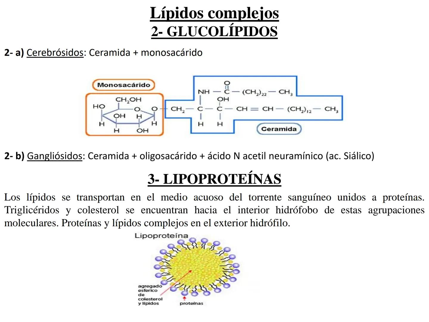 # Teórico-Práctico N°9
# LÍPIDOS
Química Biológica I Estructura de Lípidos:
Son un grupo heterogéneo de sustancias orgánicas, distribuidas