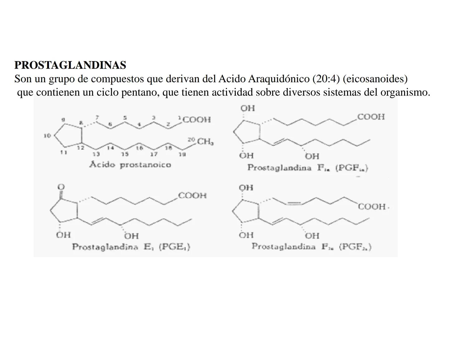 # Teórico-Práctico N°9
# LÍPIDOS
Química Biológica I Estructura de Lípidos:
Son un grupo heterogéneo de sustancias orgánicas, distribuidas