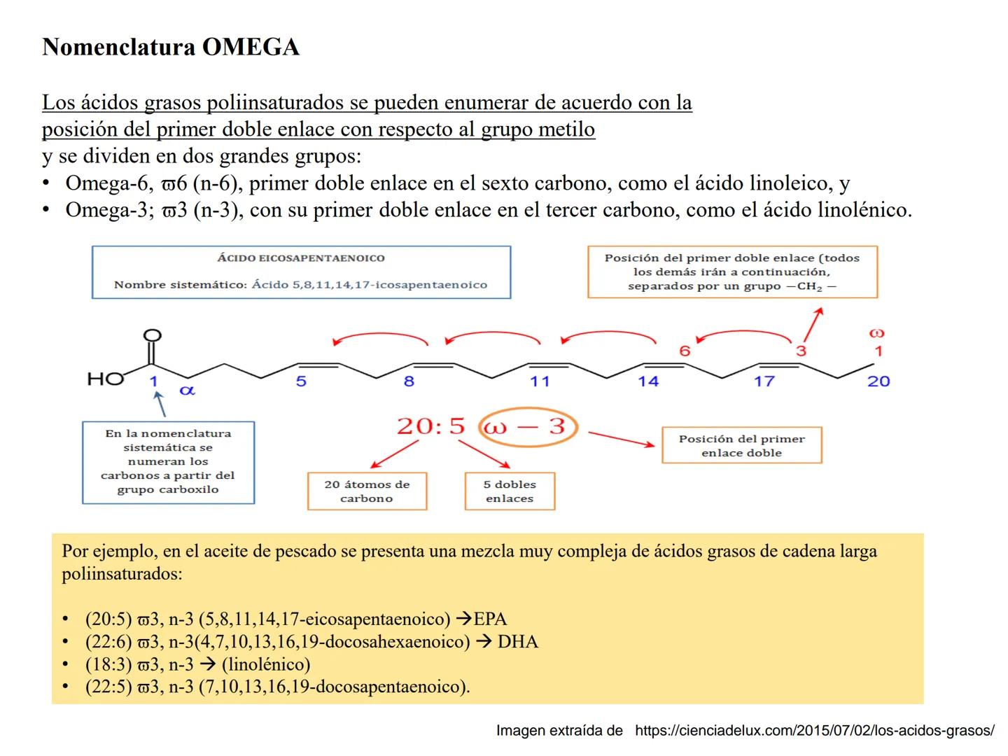 # Teórico-Práctico N°9
# LÍPIDOS
Química Biológica I Estructura de Lípidos:
Son un grupo heterogéneo de sustancias orgánicas, distribuidas