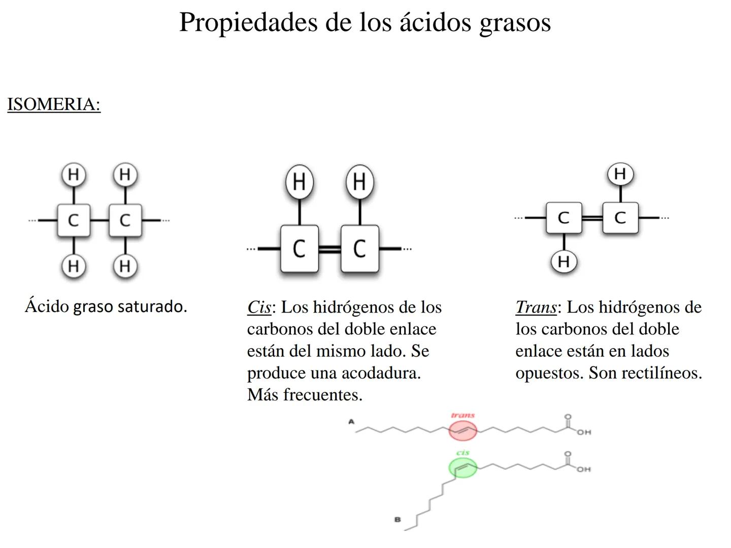 # Teórico-Práctico N°9
# LÍPIDOS
Química Biológica I Estructura de Lípidos:
Son un grupo heterogéneo de sustancias orgánicas, distribuidas