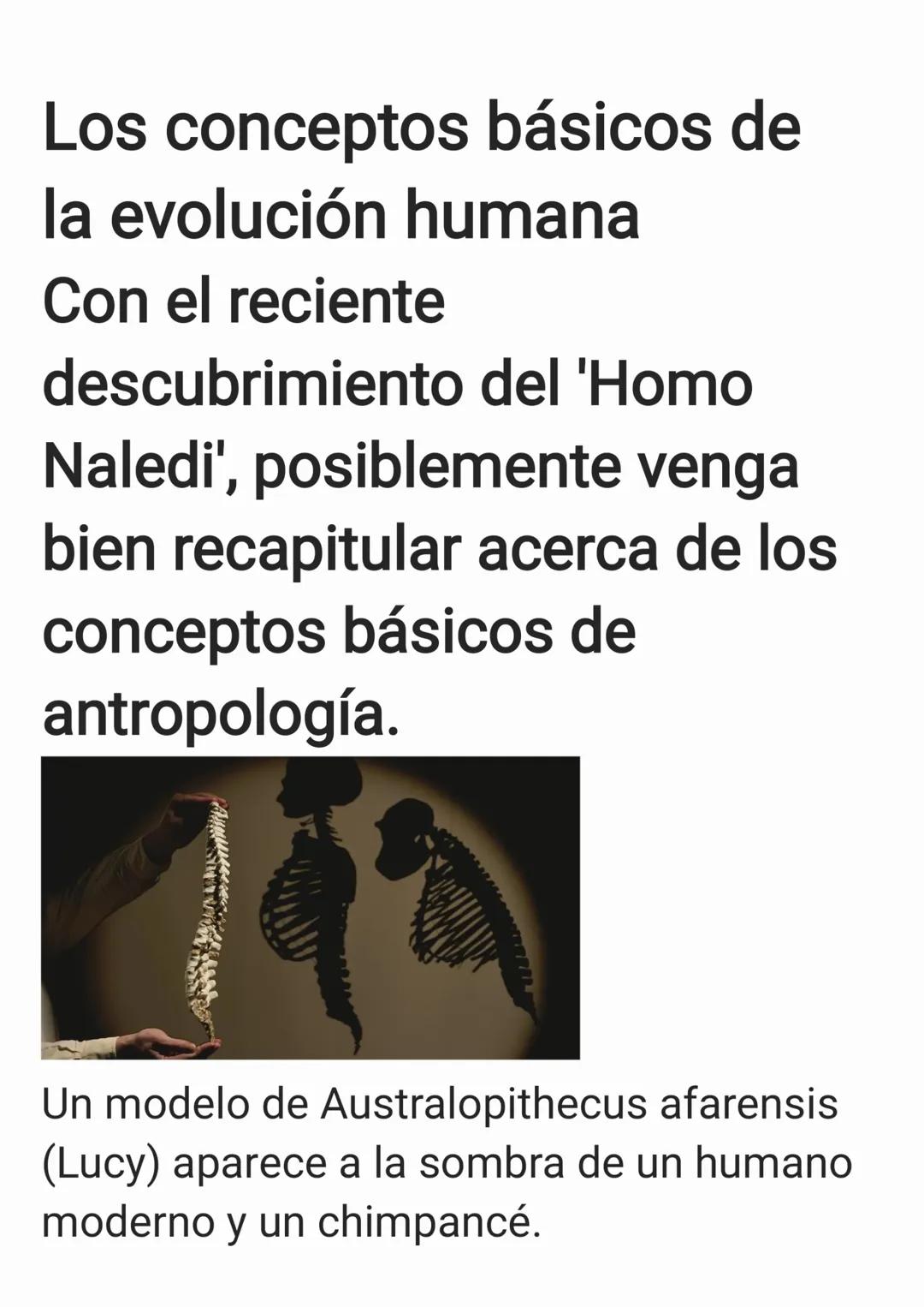 Los conceptos básicos de
la evolución humana
Con el reciente
descubrimiento del 'Homo
Naledi', posiblemente venga
bien recapitular acerca de