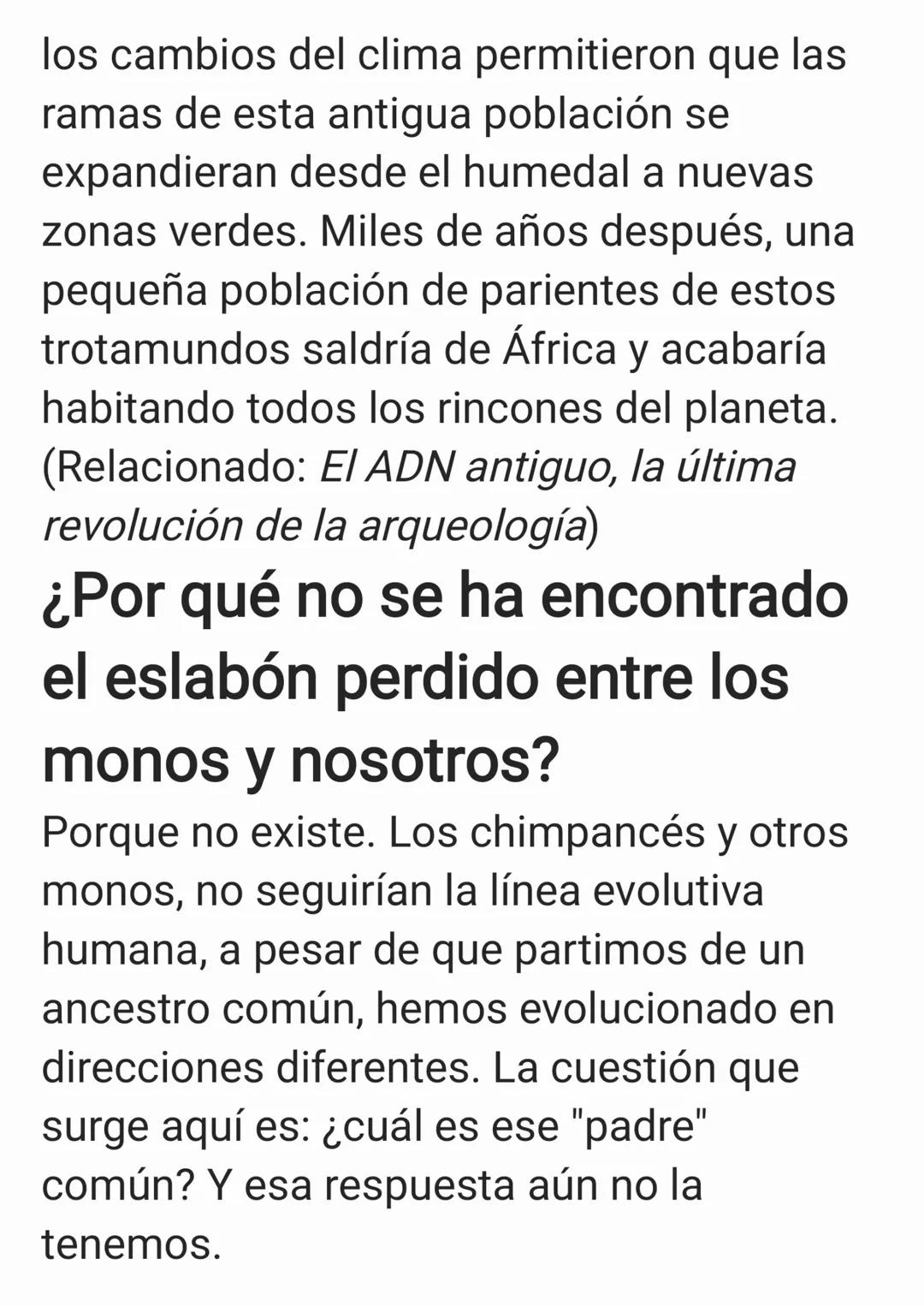 Los conceptos básicos de
la evolución humana
Con el reciente
descubrimiento del 'Homo
Naledi', posiblemente venga
bien recapitular acerca de