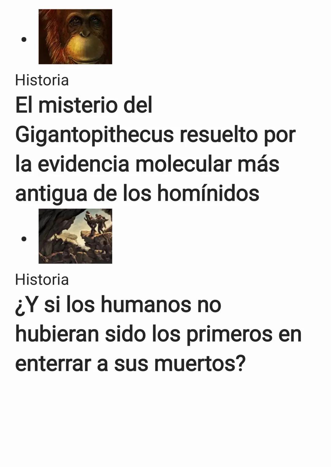 Los conceptos básicos de
la evolución humana
Con el reciente
descubrimiento del 'Homo
Naledi', posiblemente venga
bien recapitular acerca de